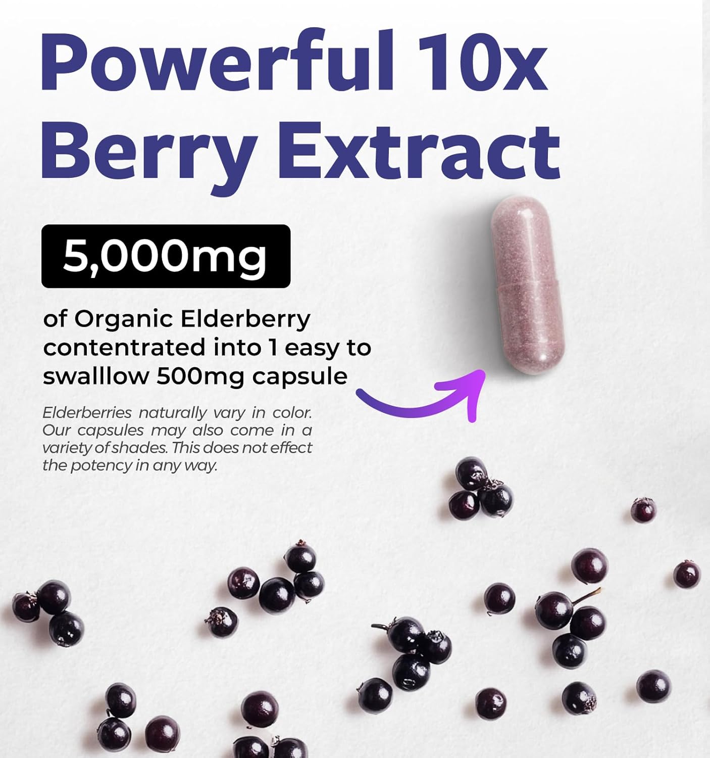 Organic Elderberry Capsules - 10:1 Extract Equals 5,000mg of Fresh Elderberries (Vegan) for Immune Support, Allergy, Sinus Relief - Sambucus Nigra - Black Elderberry - 30 Caps (No Pills or Gummies)