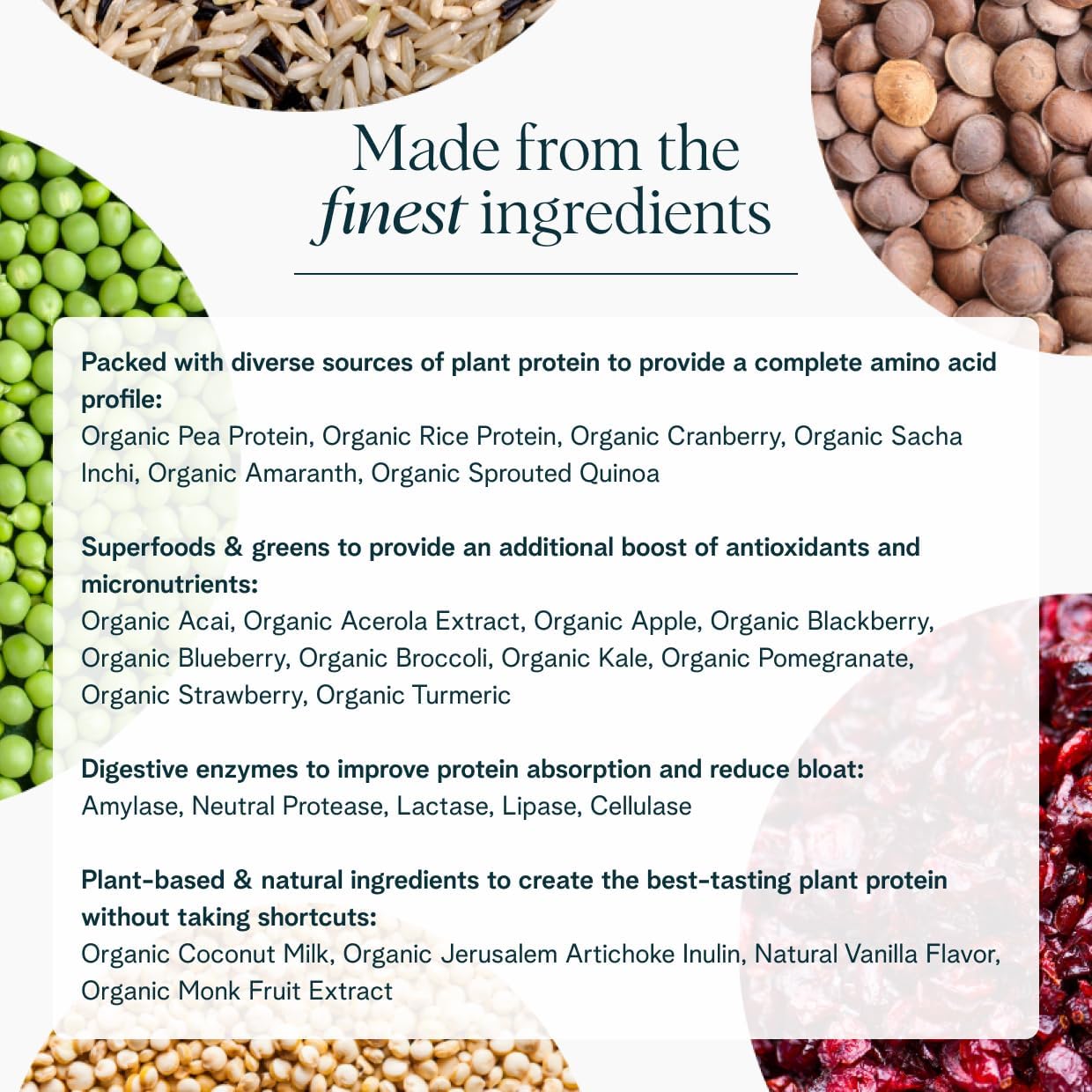 Ora Organic Plant-Based Protein Powder - 23g Protein for Women and Men - Vanilla Flavor 20 Servings, Vegan, Clean Protein, Third-Party Tested, Gluten-Free - 20 Servings