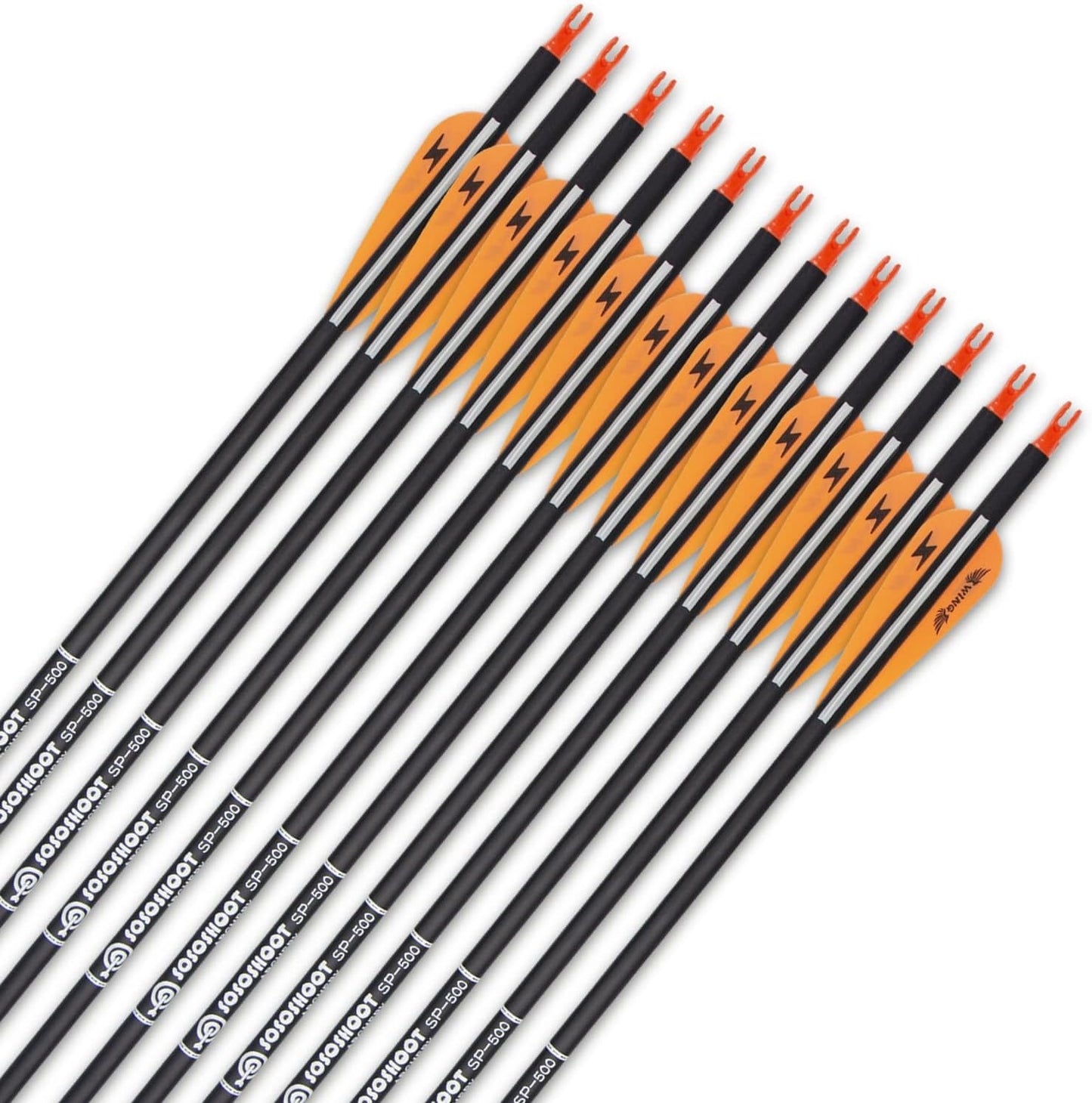 31inch Carbon Arrow Archery Targeting Practice Hunting Arrows for Compound & Recurve Bow with Removable Tips(Pack of 12)