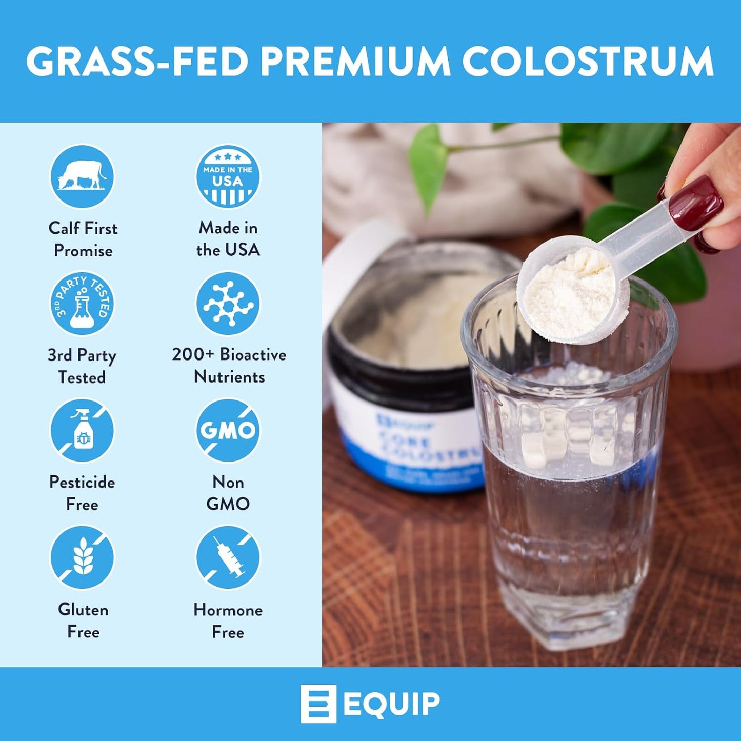 Equip Foods Core Bovine Colostrum Powder - 3,000mg Grass Fed Colostrum Supplement - Gut Health, Immunity, Recovery Lactoferrin Supplements - Keto Friendly Bovine Colostrum, 30 Servings, Unflavored