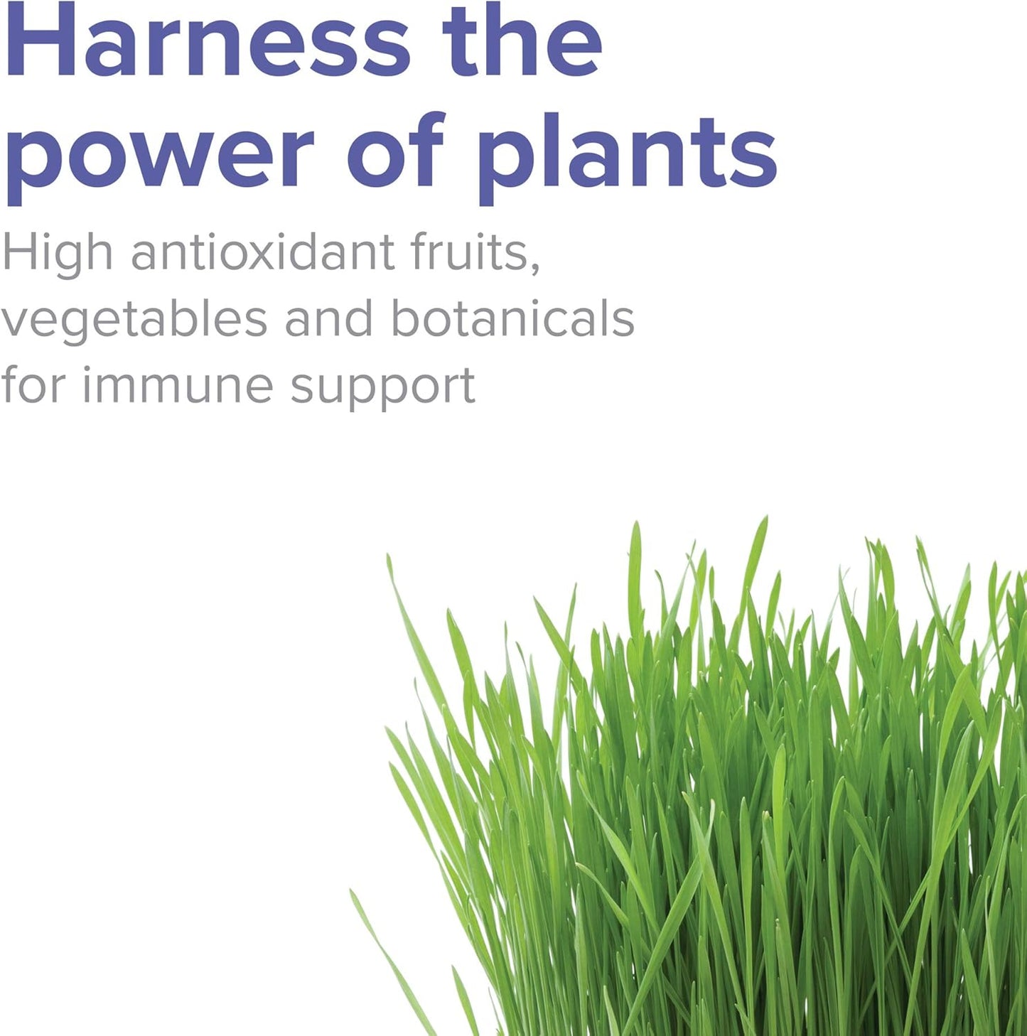 Vibrant Health, Spectrum Vibrance, Vegan Antioxidant Superfood Powder, 30 Servings (FFP)