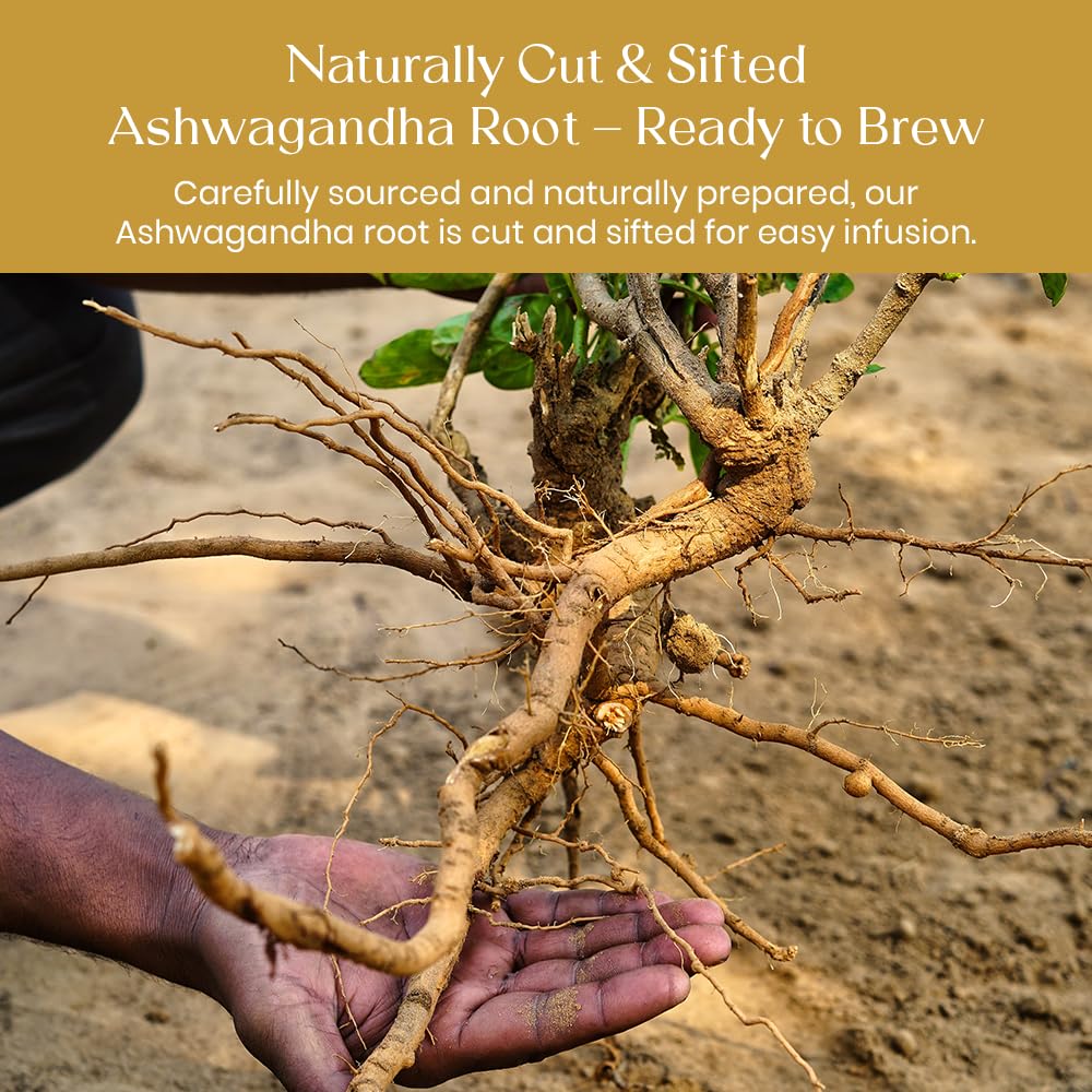 BlendArt Teas - Ashwagandha Root TeaBags - 50 Count - Pyramid Tea Bag |Ancient Adaptogen Superfood for Men and Women | Helps in Relive Stress | Promote Cleansing & Wellness | Caffeine Free | Ziplock Pouch