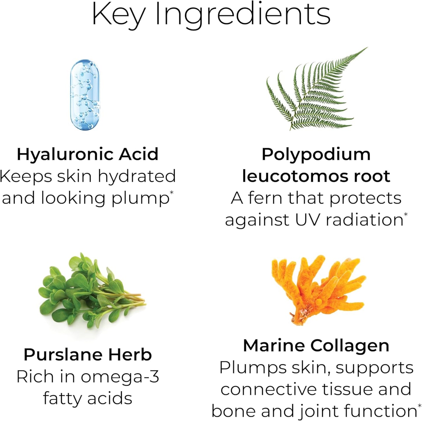 Hush & Hush TimeCapsule Multivitamin, Women's Multivitamin, Men's Multivitamin, Clean Nutraceuticals Supplements That Contains Hyaluronic Acid, Vitamin C, Zinc, Vitamin B12, Vitamin E - 60 Tablets