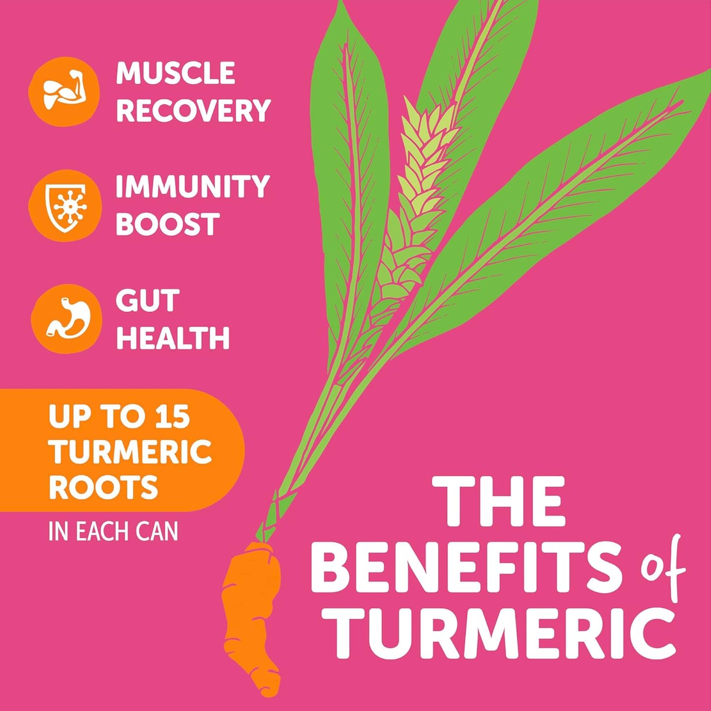 ZYN Turmeric Wellness Drink 6 (Pack), Mixed Berry Flavored Turmeric Curcumin Drink with Black Pepper, No Added Sugar, Low Carb & Low Calorie Drink, Clean Alternative