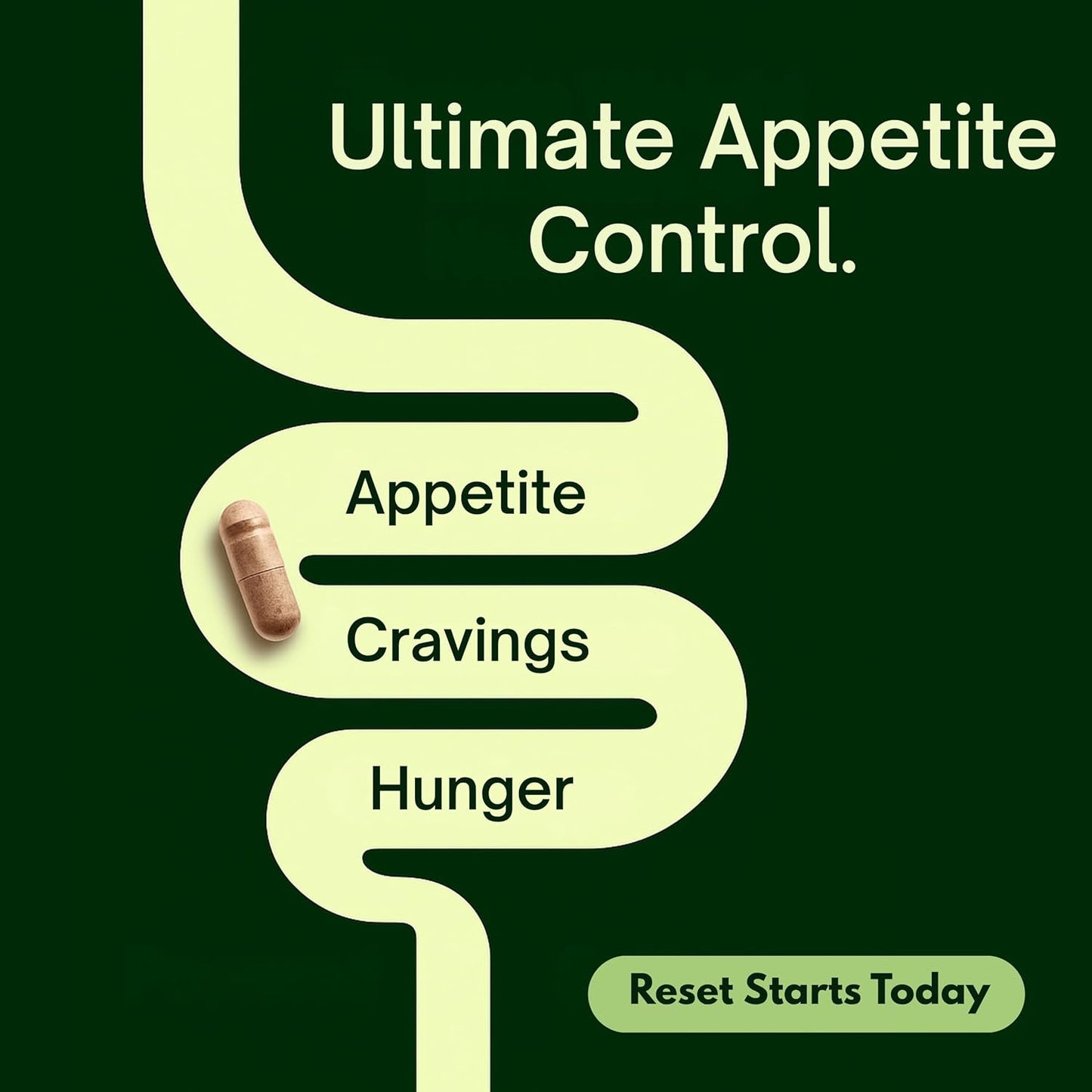 Natural Appetite Support Supplement for Women & Men, Clinically Studied Formula to Help Control Hunger & Cravings Naturally, Support Healthy Hormonal Balance, Holistic Daily Wellness – 60 Capsules