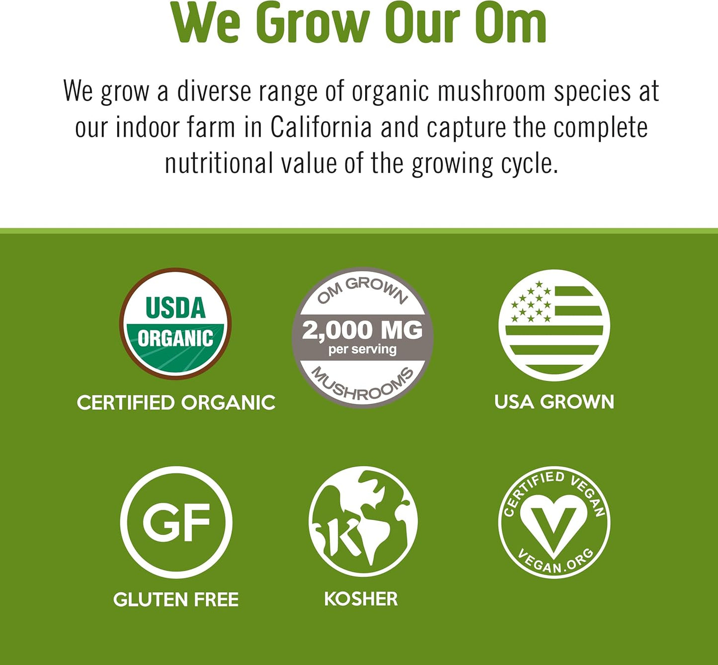 Om Mushroom Superfood Matcha Latte Blend Mushroom Powder, 8.47 Ounce Canister, 30 Servings, Green Tea, Lion's Mane, Reishi, Chaga, Turkey Tail, Focus & Stress Support Supplement