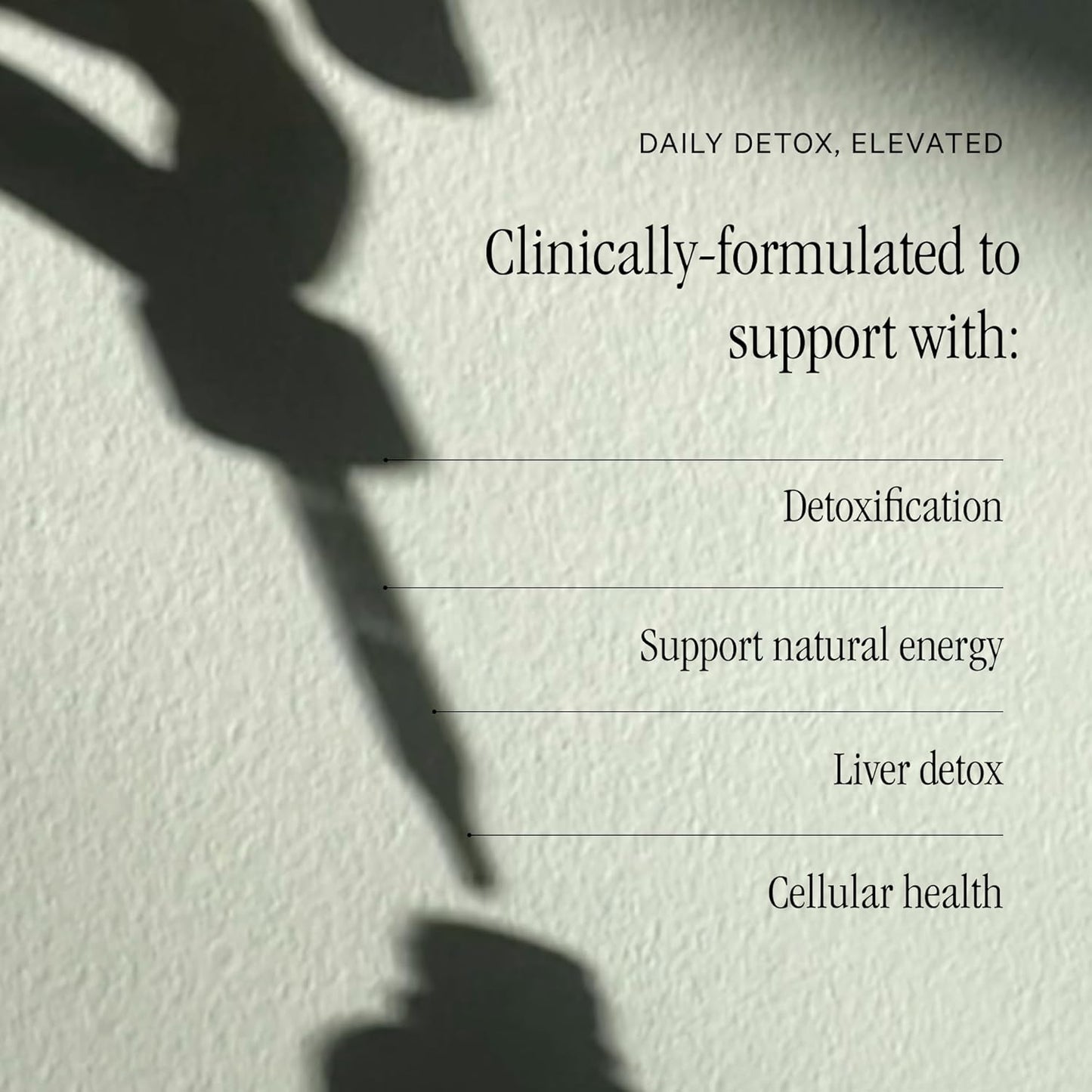 Juna Chlorophyll Liquid Drops, 3X Potency Concentration - Detox, Debloat, Cleanse, Internal Deodorant, Energy & Cellular Support Supplement - Fresh Minty Lemon Taste