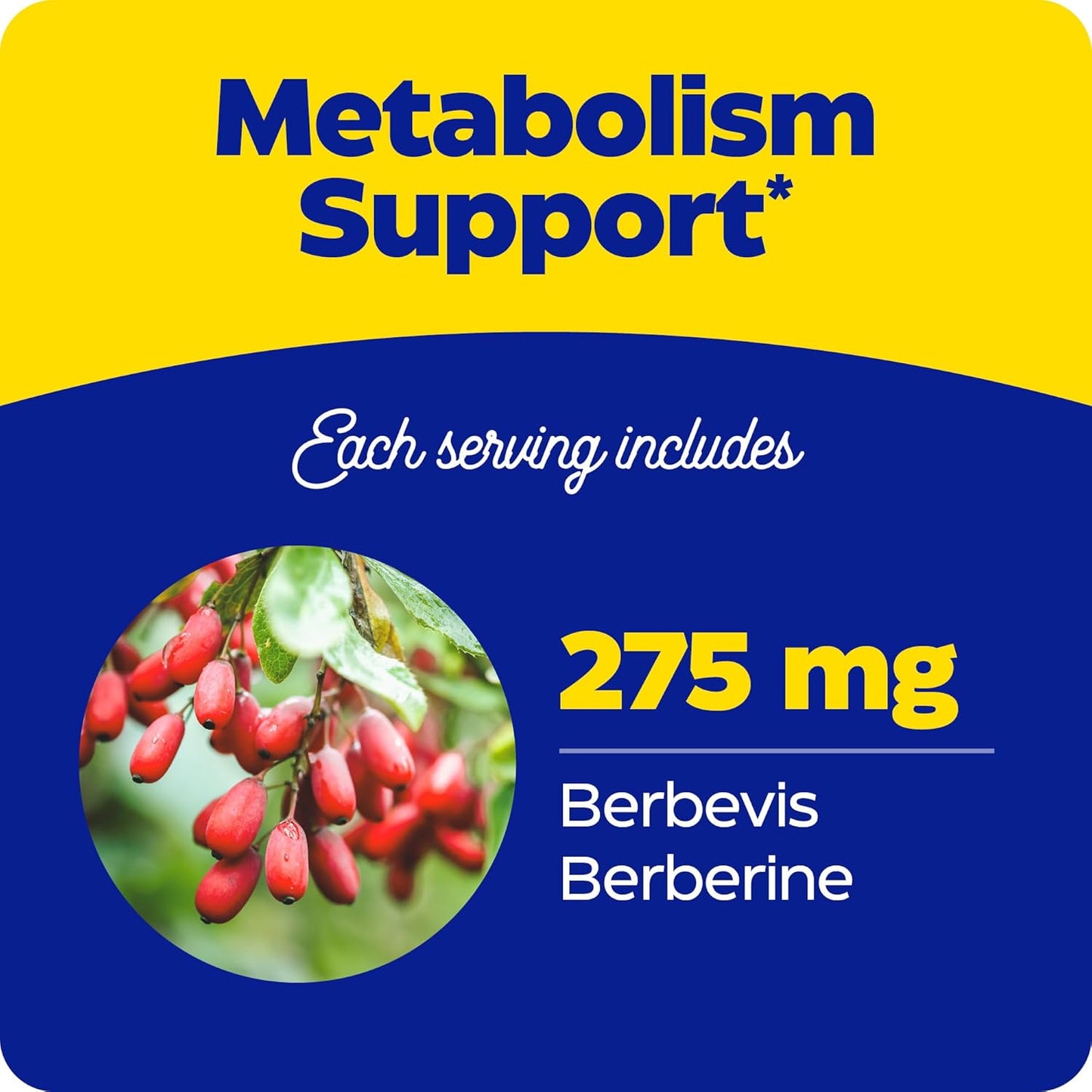 Enzymedica, Berberine Phytosome, 9.6X Better Bioavailability, High Potency Natural Vegan Dietary Supplement for Metabolic Support, 60 Capsules