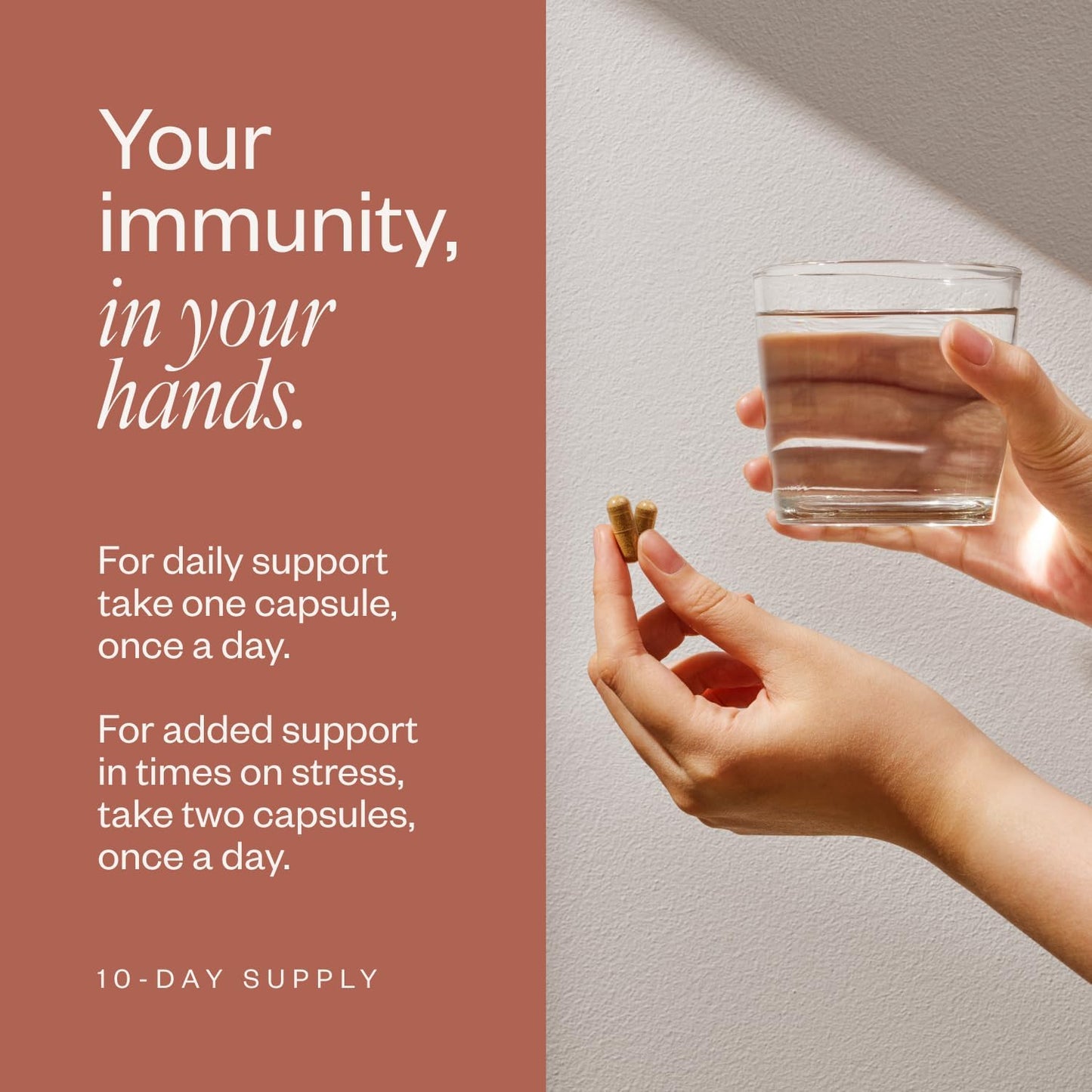 SHII AHCC Daily Immunity, 10-Days Supply – Vegan, Gluten Free Immune Support Supplement with AHCC, Immune System Support from Functional Shiitake Mushrooms, Promotes Immune Response & Cellular Health