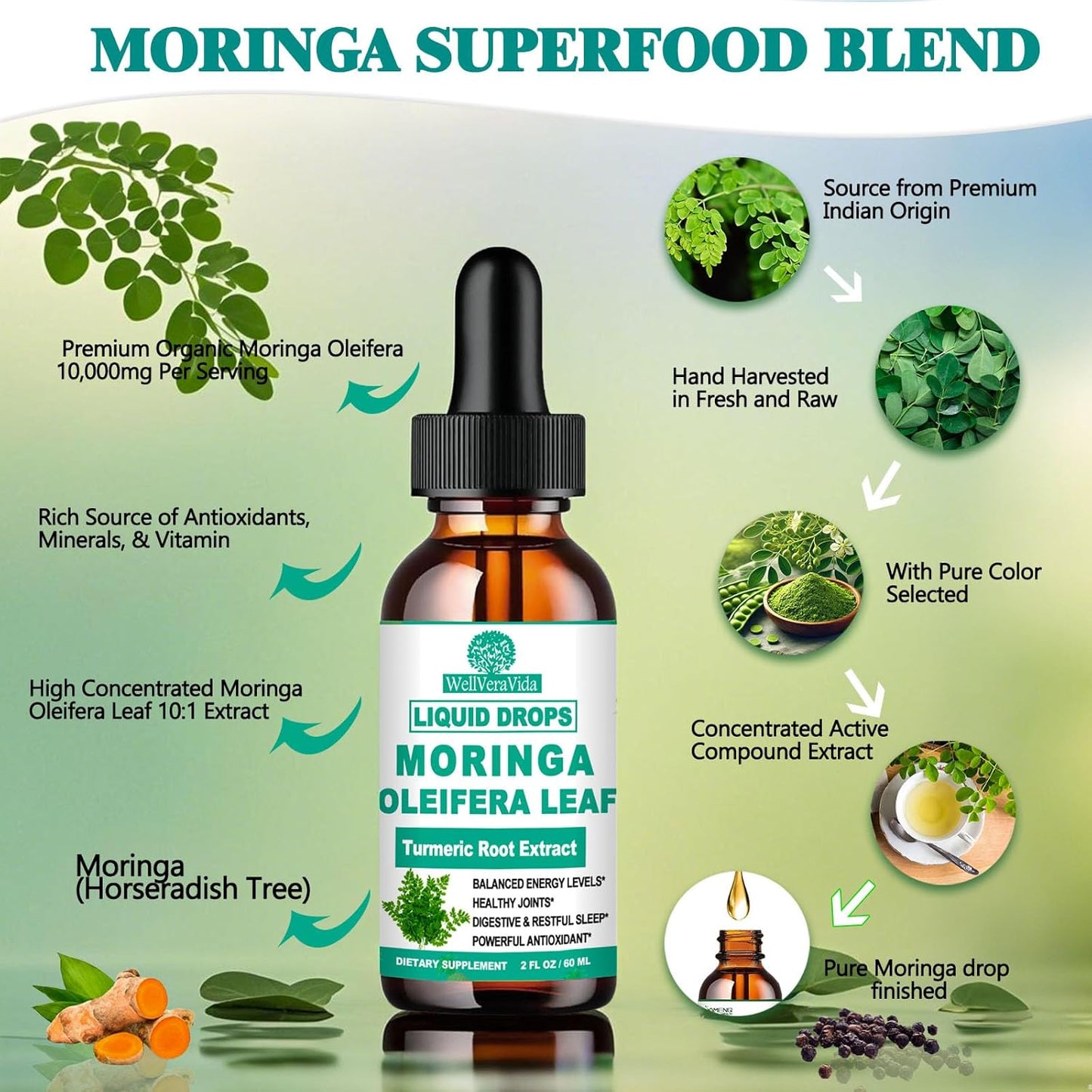 Organic Moringa Liquid Drops, Pure Moringa Oleifera Leaf Extract w. Turmeric, Black Pepper & Vitamin C E, Moringa Supplemens for Activates AMPK & GLP-1, Energy Antioxidant Skin Gut