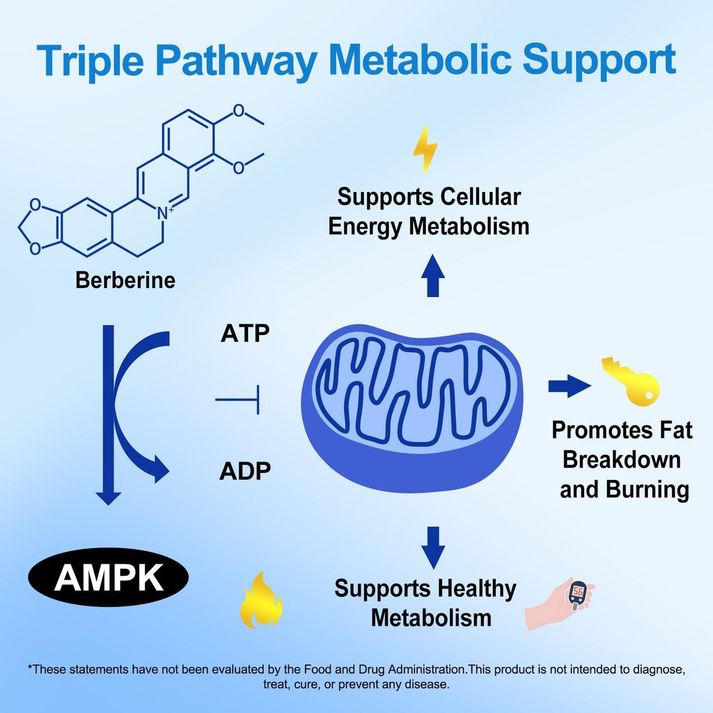 Premium Berberine Supplement Supports AMPK Metabolic, Liposomal Berberine with Ceylon Cinnamon - Classic 1500mg Formula for Healthy Metabolism & Weigh*t - 3X Absorption - Vegan, Non-GMO, 120 Count