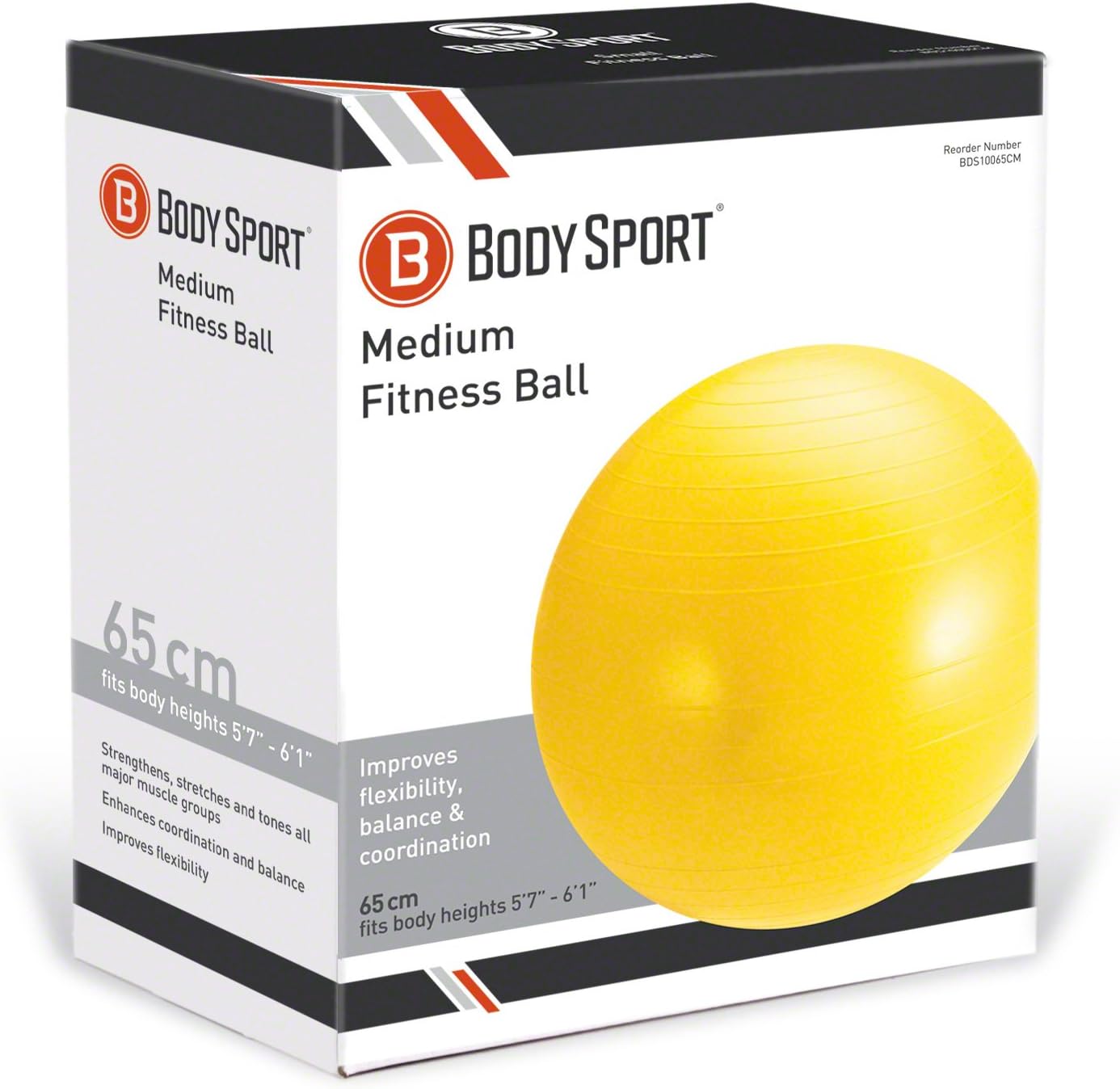 Body Sport Exercise Ball with Pump for Home, Gym, Balance, Stability, Pilates, Core Strength, Stretching, Yoga, Fitness Facilities, Desk Chairs