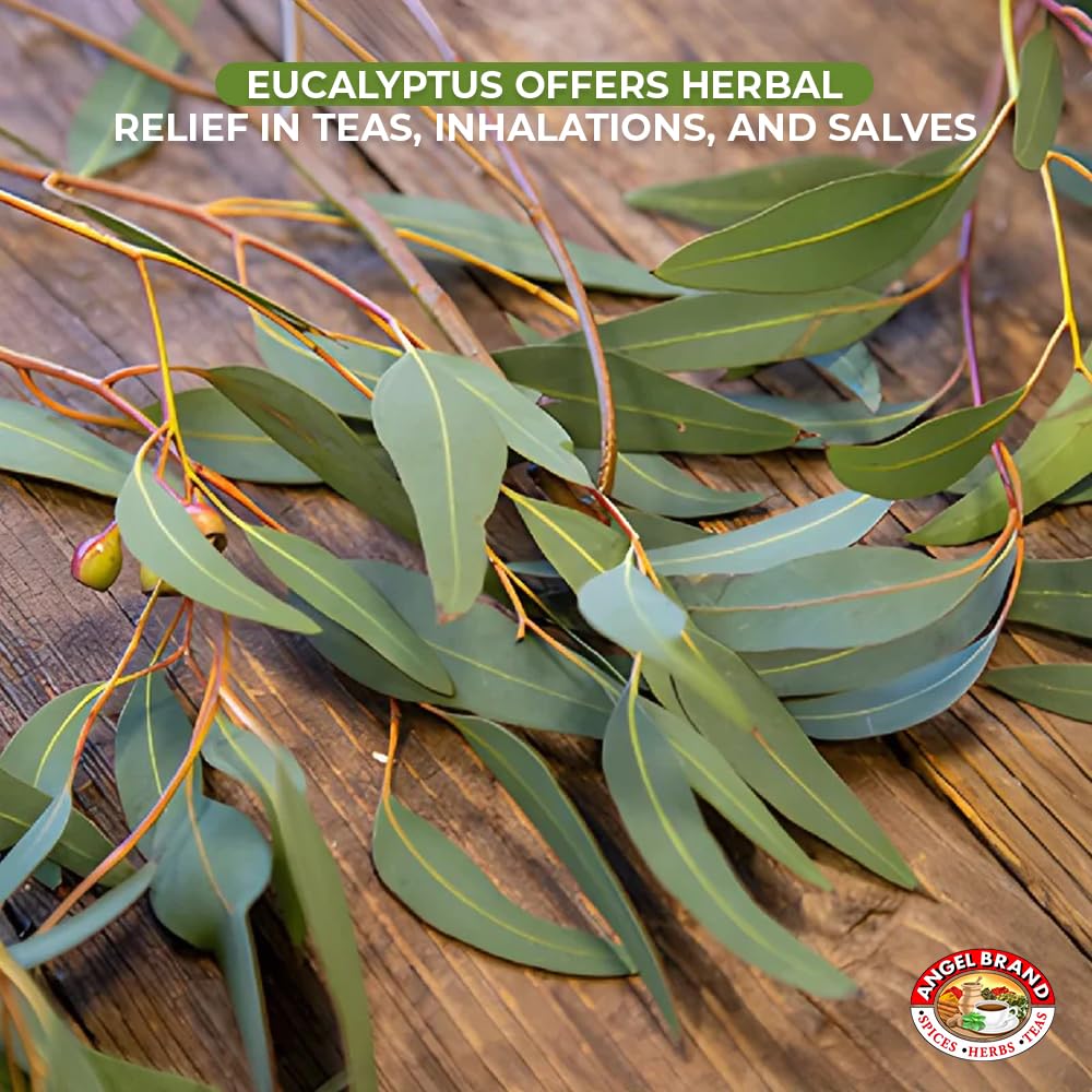 Angel Brand Eucalyptus Leaves 0.25 oz Pouch Pack of 3 - Eucalyptus Has Refreshing Slightly Wood Flavour - Dried Eucalyptus Leaves Commonly Used in Various Dishes, Herbal Tea, Syrups & Savory Dishes