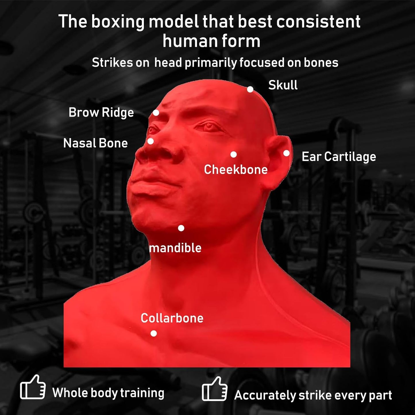 Freestanding Punching Bag Boxing Dummy for Adults Fighting Bag Stand Kick Boxing Mannequin Training Dummy Martial Arts