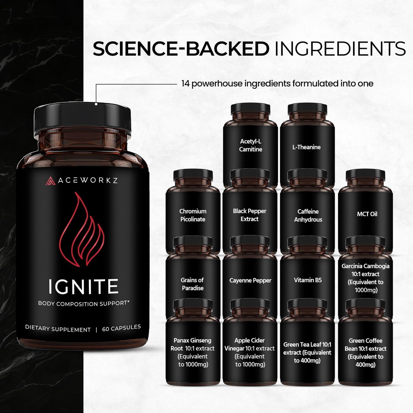 Ignite - Thermogenic Fat Burner & Nootropic - Weight Management, Craving Control, Metabolism, Focus & Energy Support with ACV, Green Tea Extract & More - High Absorption with BioPerine® (60 Capsules)