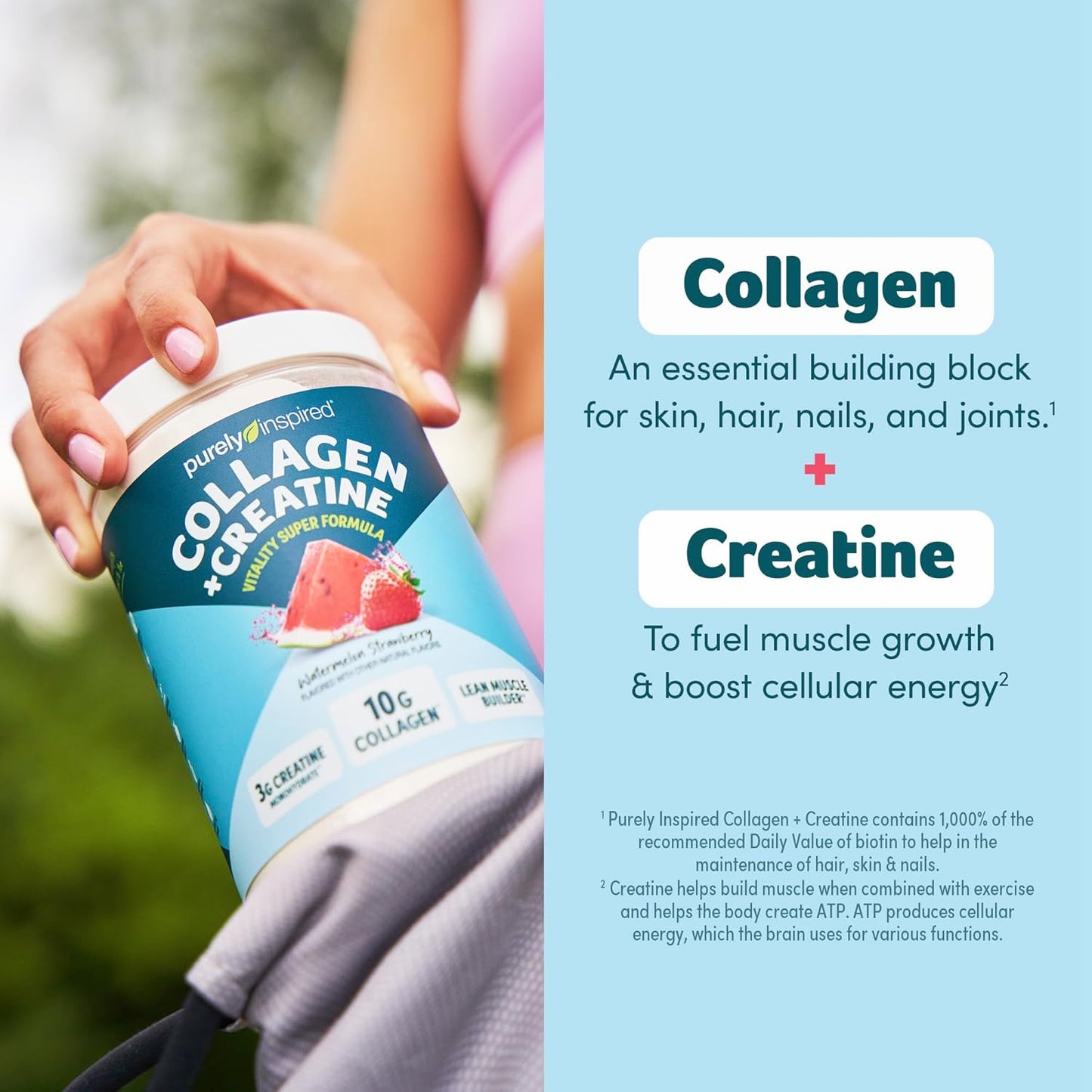 Purely Inspired Collagen and Creatine Powder, Watermelon Strawberry - 10g Collagen & 3g Creatine Builds Lean Muscle - Flavored Drink Mix with Key Electrolytes - Gluten-Free & Zero Sugar