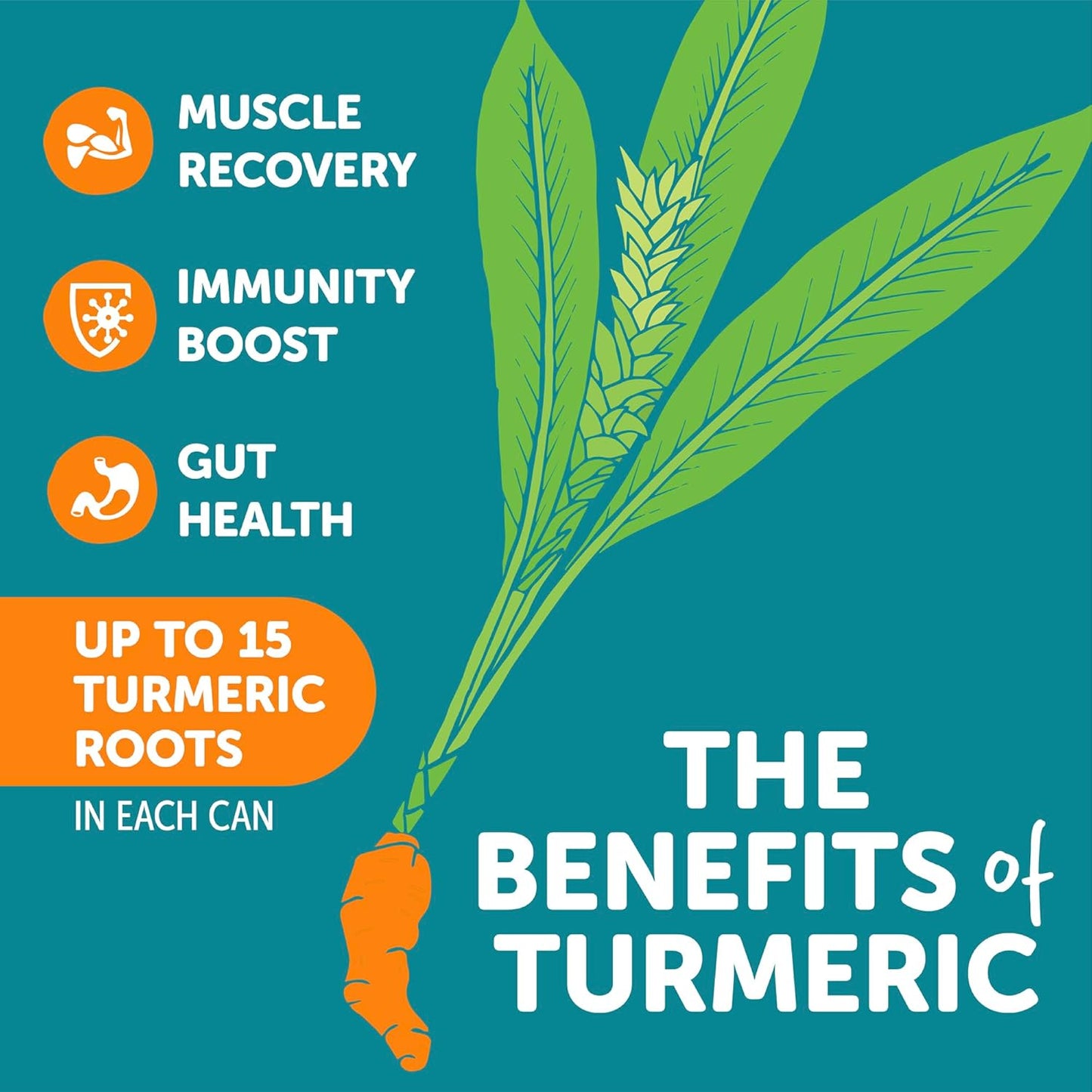 ZYN Turmeric Wellness Drink (6 Pack), Lemon Ginger Flavored Turmeric Curcumin Drink with Black Pepper, No Added Sugar, Low Carb & Low Calorie Drink, Clean Alternative