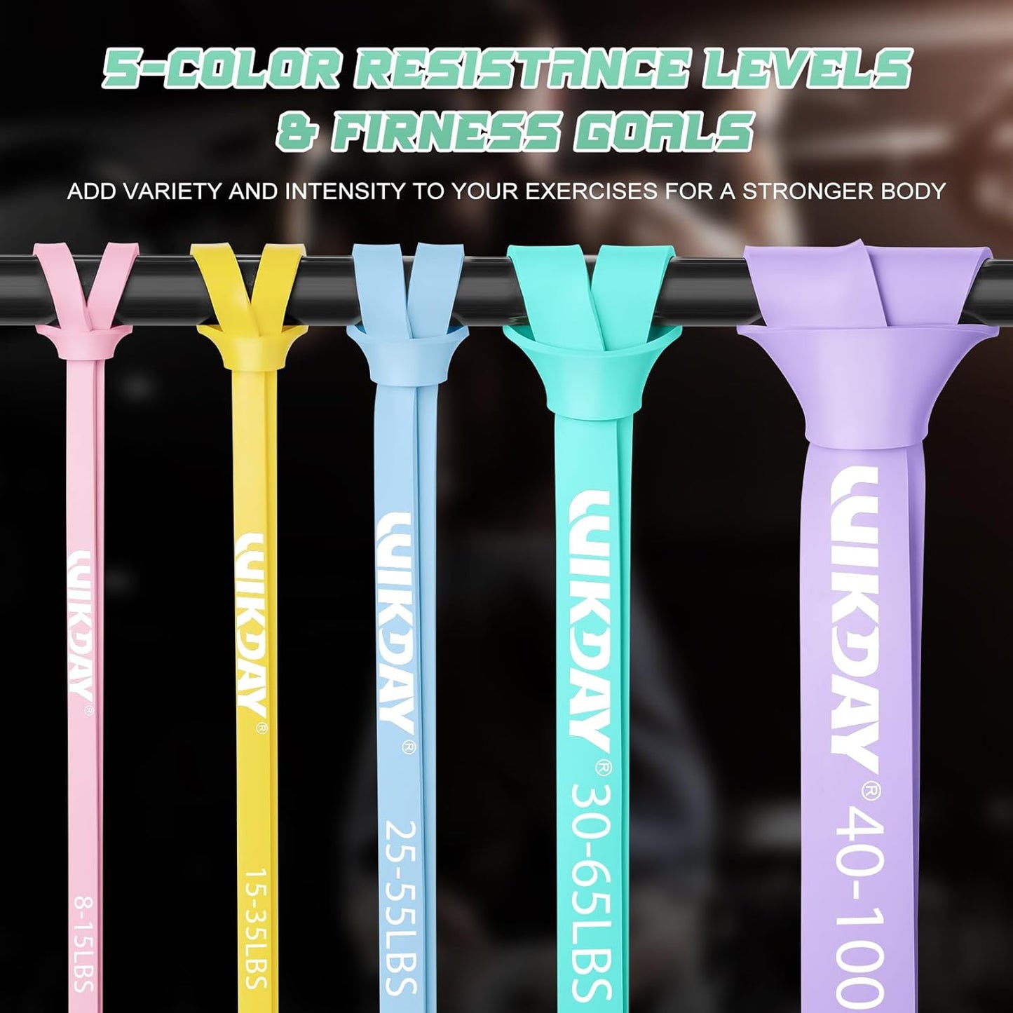 Resistance Bands, Pull Up Bands, Workout Bands for Exercise, Thick Heavy Resistance Band Set with Door Anchor, Elastic Bands for Body Stretching, Crossfit Training at Home/Gym Men & Women Women