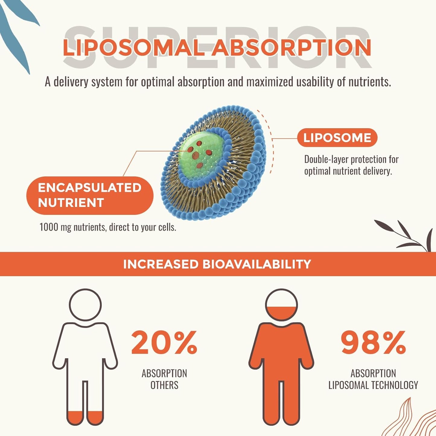 13-in-1 Liquid Oxygen & Nutrient Supplement for Energy, Altitude Support, Performance, Antioxidant, Immune, Fatigue & Detox, Liposomal for High Absorption, pH Balance, Organic, Gluten Free, 8 Fl Oz