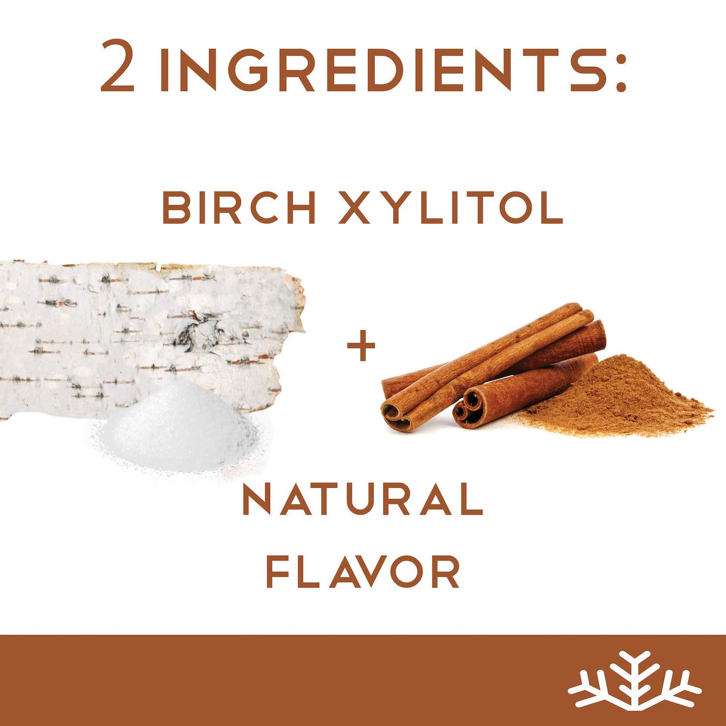 Cinnamon KETO Xylitol Candy Chips - SNØ 1LB Bag - Sugar-Free Candy With Only 2 Ingredients | Low Carbs, Diabetic-Friendly, Non-GMO, Vegan, GF & Kosher | Purest candy in the world!