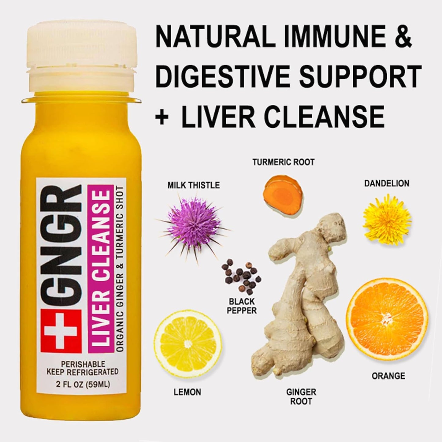 +GNGR Liver Cleanse Shot, Cold-Pressed Ginger Shot with Milk Thistle, Dandelion Root, Turmeric Root, Immunity Shot for all natural Liver Support, Detox, Immunity, Digestion, Cleanse (2 Oz, Pack of 12)
