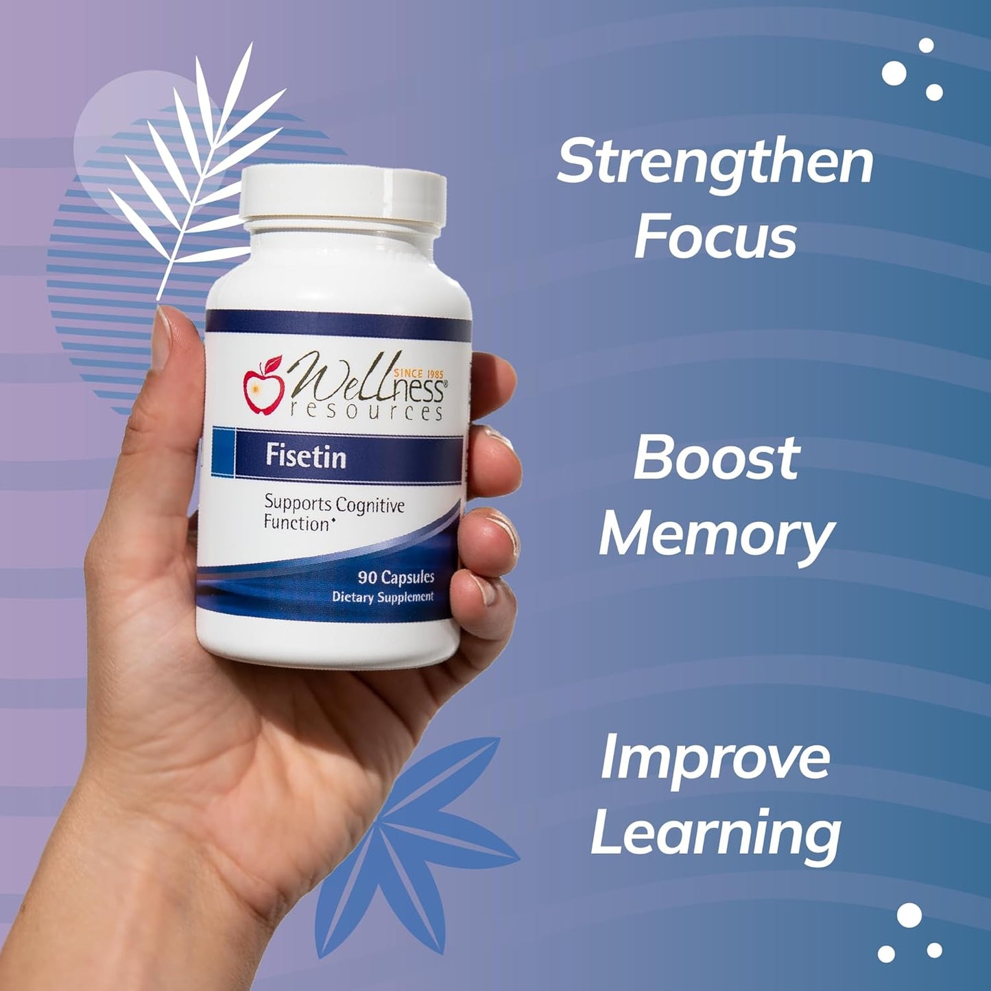 Wellness Resources Fisetin - Novusetin Fisetin Supplement for Longevity, Memory, Focus, Brain Health - Senolytic and Situin Activator - Gluten-Free, Non-GMO, Vegan (100mg, 90 Capsules)