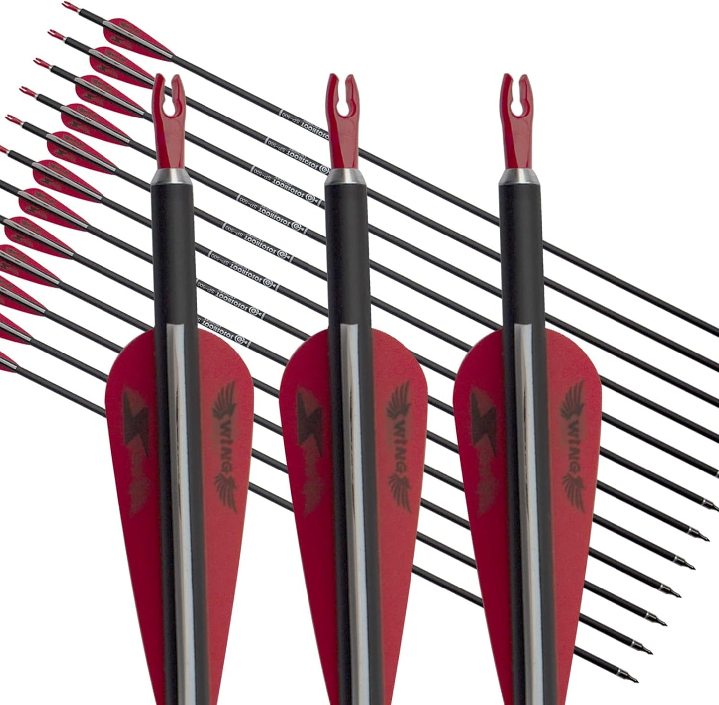 31inch Carbon Arrow Archery Targeting Practice Hunting Arrows for Compound & Recurve Bow with Removable Tips(Pack of 12)