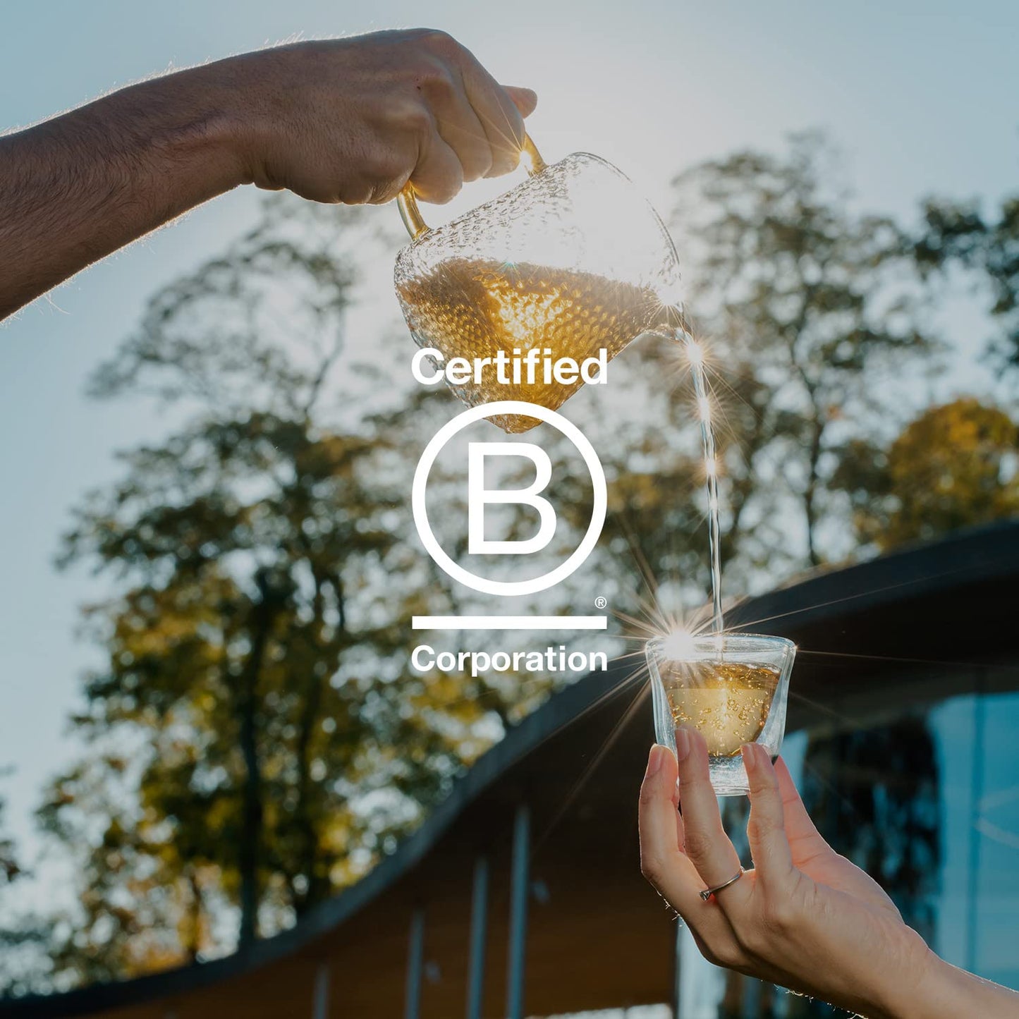 Grace Farms REST Wellness Organic Tea Blend (100 Enveloped Pyramid Sachets w/ String & Tag) | Sleep and Stress Support For Evening | Chamomile Vanilla Tea with Caffeine Free Adaptogens and Mushrooms | Gives Back 100% of Profits