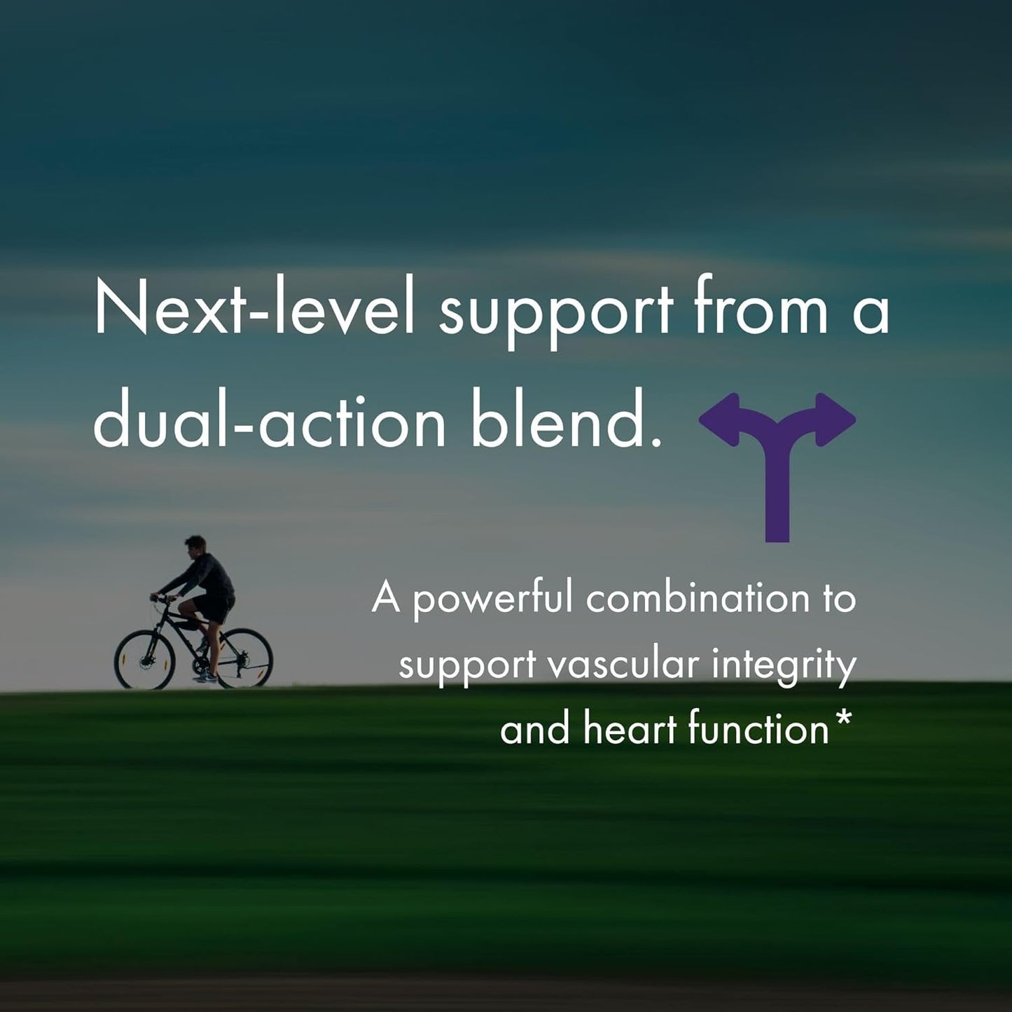 NAOMI BP Advanced, Potent Ingredients for Blood Flow and Circulation, Endothelial Function, Supports Cardiovascular and Arterial Health, 1000mg Olive Leaf Extract, 180mcg Vitamin K2 (Small, 60 Count)