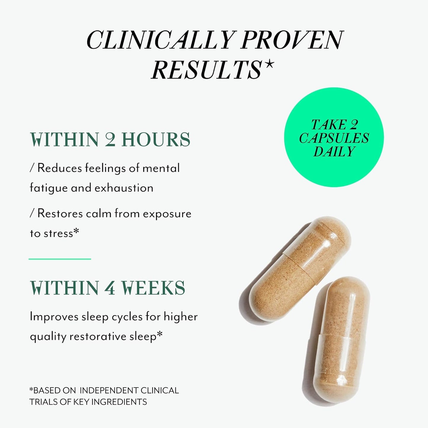 Veracity Fatigue Ease Adrenal Support Supplement for Stress Resilience, Healthy Cortisol & Energy - Adaptogenic Blend of Ashwagandha, Schisandra Berry, Licorice & Rhodiola – 100% Natural - 60 Capsules