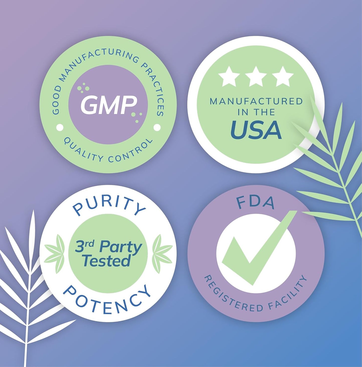 Wellness Resources Fisetin - Novusetin Fisetin Supplement for Longevity, Memory, Focus, Brain Health - Senolytic and Situin Activator - Gluten-Free, Non-GMO, Vegan (100mg, 90 Capsules)