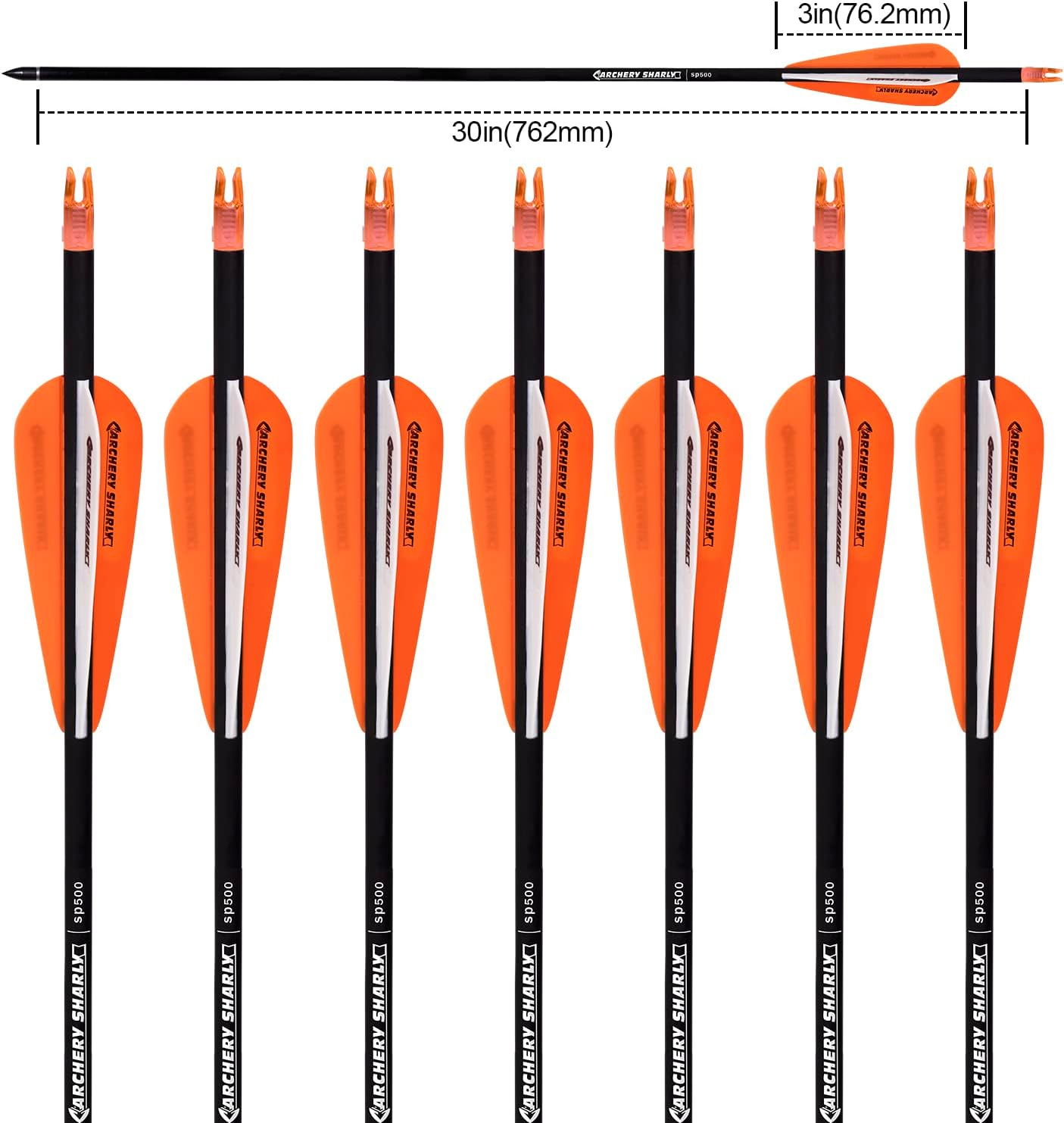 30Inch Carbon Hunting Arrow Targeting Practice Arrows with Removable Tips and Adjustable Nocks for Compound & Recurve Bow (Pack of 12)