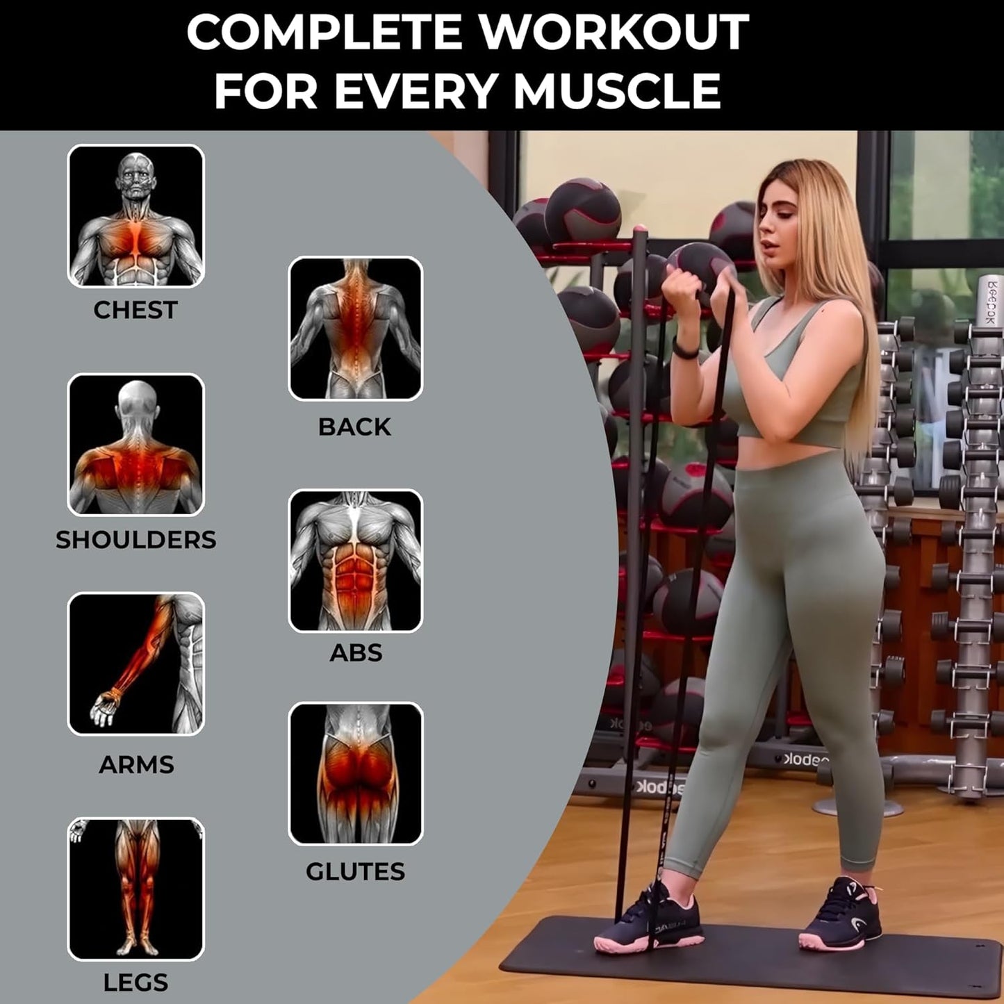 Dr. Aid Pull Up Resistance Bands Set – Elastic, Smell-Free Premium Latex Exercise Bands for Men & Women, Tear-Resistant Workout Bands for Full-Body Strength Training, Physical Therapy, Yoga, Pilates