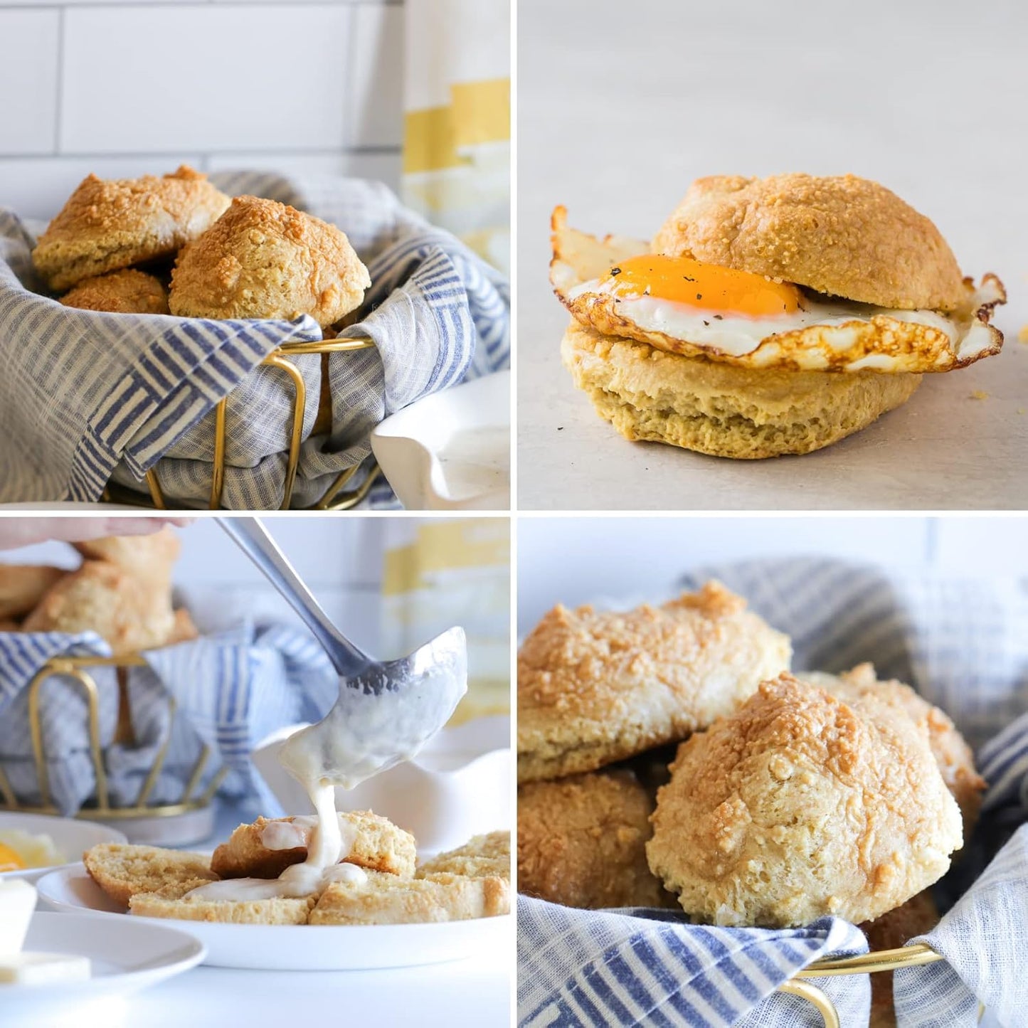 Good Dees Low Carb Baking Mix,Cracker Biscuit Mix, Keto Baking Mix, Gluten Free, No Sugar Added, Grain-Free, Soy-Free, Diabetic, Atkins & WW Friendly (3g Net Carbs, 10 Servings)