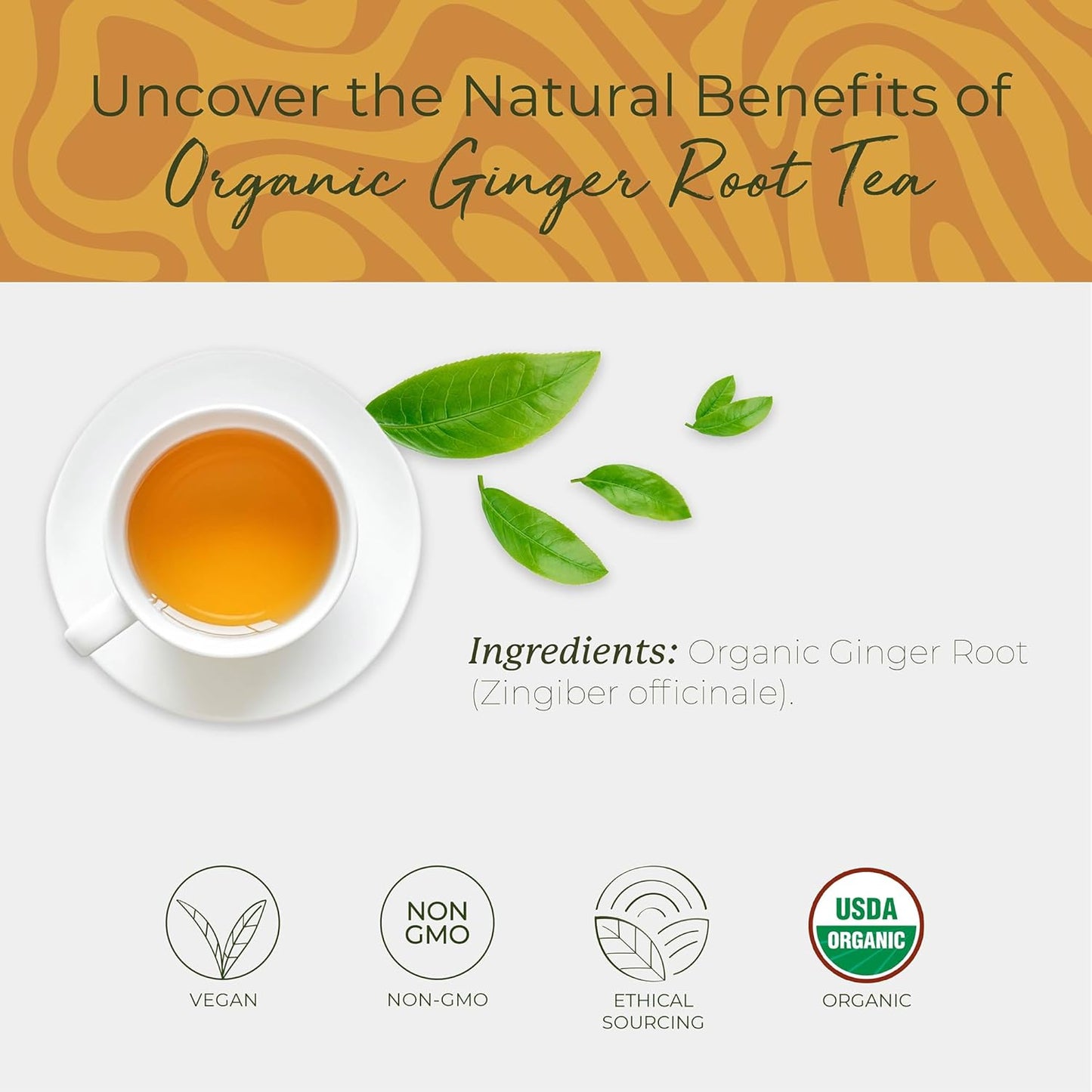 Starwest Botanicals Organic Ginger Root Tea - Caffeine Free Herbal Tea, Supports Digestion, String Free Sachets, USDA Organic Ginger Root, Non GMO - 20 Tea Bags