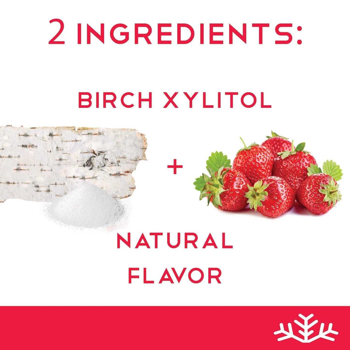 Strawberry KETO Xylitol Candy Chips (1-Pack) - SNØ 1.5oz Tin - Sugar-Free Candy With Only 2 Ingredients | Low Carbs, Diabetic-Friendly, Non-GMO, Vegan, GF & Kosher | Purest candy in the world