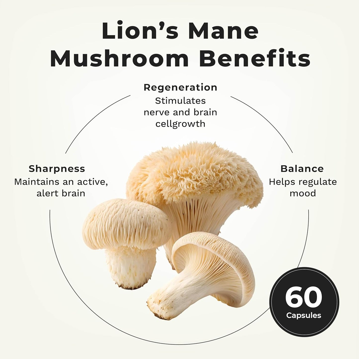 LifeSeasons Essentials Lion's Mane Mushroom - Support Healthy Brain Function & Emotional Balance - Stimulate Nerve & Brain Cell Growth - Mood Enhancer - 1000mg per Serving - 60 Capsules