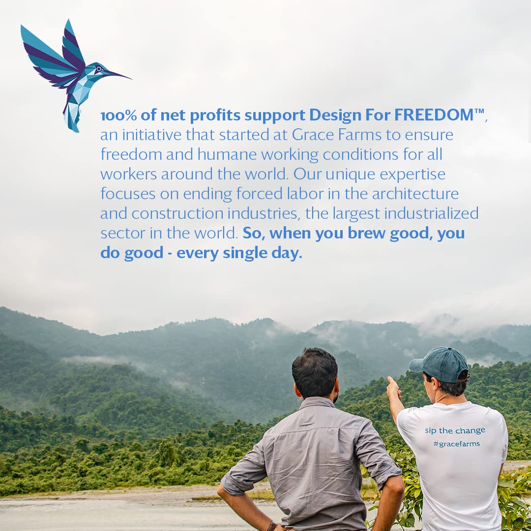 Grace Farms BREATHE Wellness Organic Tea Blend (50 Sachet Pouch) | Turmeric and Ginger with Adaptogenic Herbs | Immunity and Digestion Support | Caffeine Free | Gives Back 100% of Profits