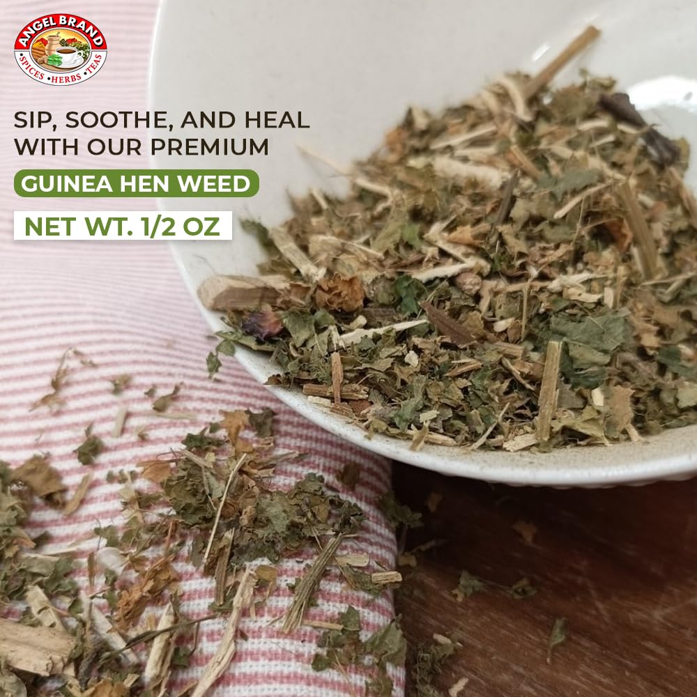 Angel Brand Guinea Hen leaves Tea – 0.5 oz Pouch Pack of 3 Sourced From Lush Tropics, Discover Potent & Versatile Qualities of Our Premium Anamu Plant - Famous for Its Health Benefits