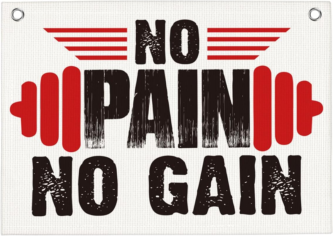 No Pain No Gain Gym Motivational Wall Art Banner Dorm Posters Gifts for Guys Men Women Gym Flag Decor for Home Gym Bedroom Workout Room 30x20 Inchs