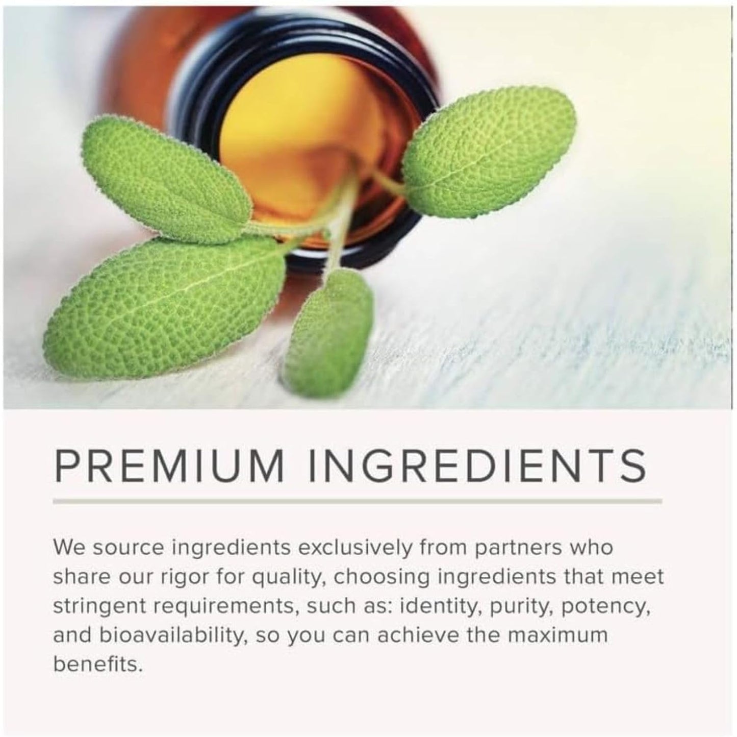 NusaPure Organic Kale Powder 10,000mg per Serving, 8.8 Ounce, Extract 10:1, Non-GMO