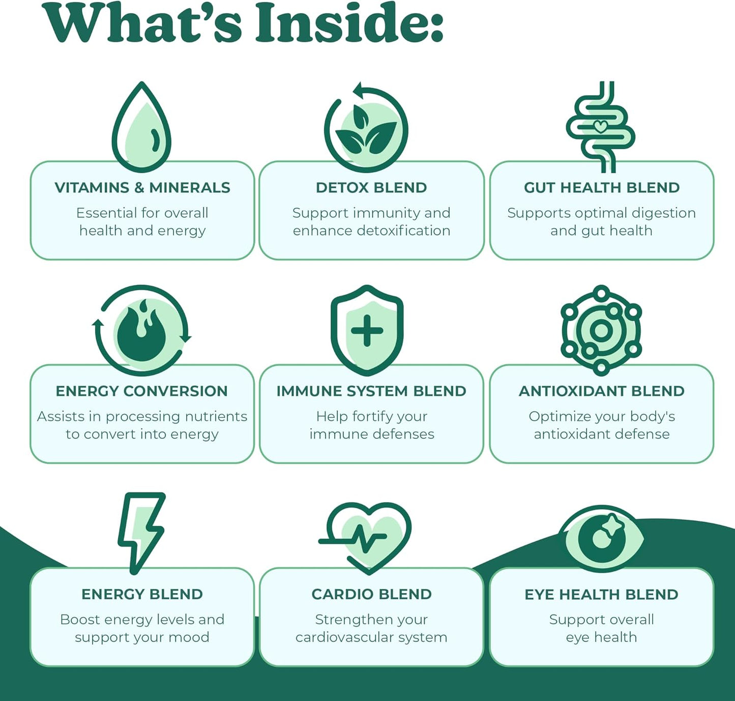 Best Tasting Vita Variety Sample Stick Pouch - Super Greens Powder Packets - Delicious Green Juice Drink Mix with Amazing Flavor - Over 40 Superfoods - Variety Pack