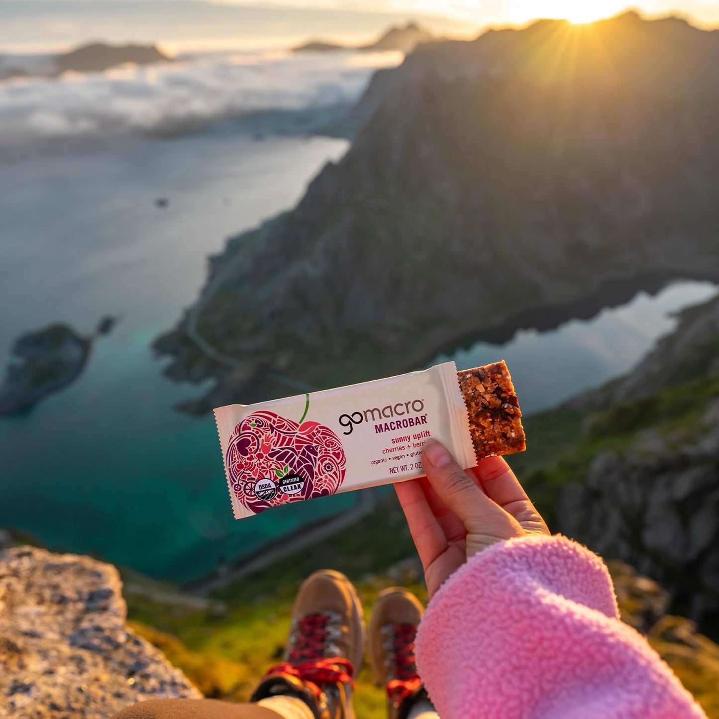 GoMacro MacroBar Organic Vegan Snack Bars - Cherries + Berries (2.0 Ounce Bars, 12 Count)