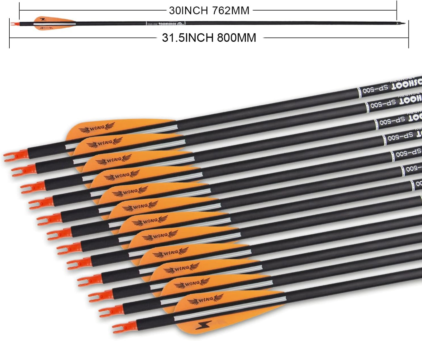 31inch Carbon Arrow Archery Targeting Practice Hunting Arrows for Compound & Recurve Bow with Removable Tips(Pack of 12)