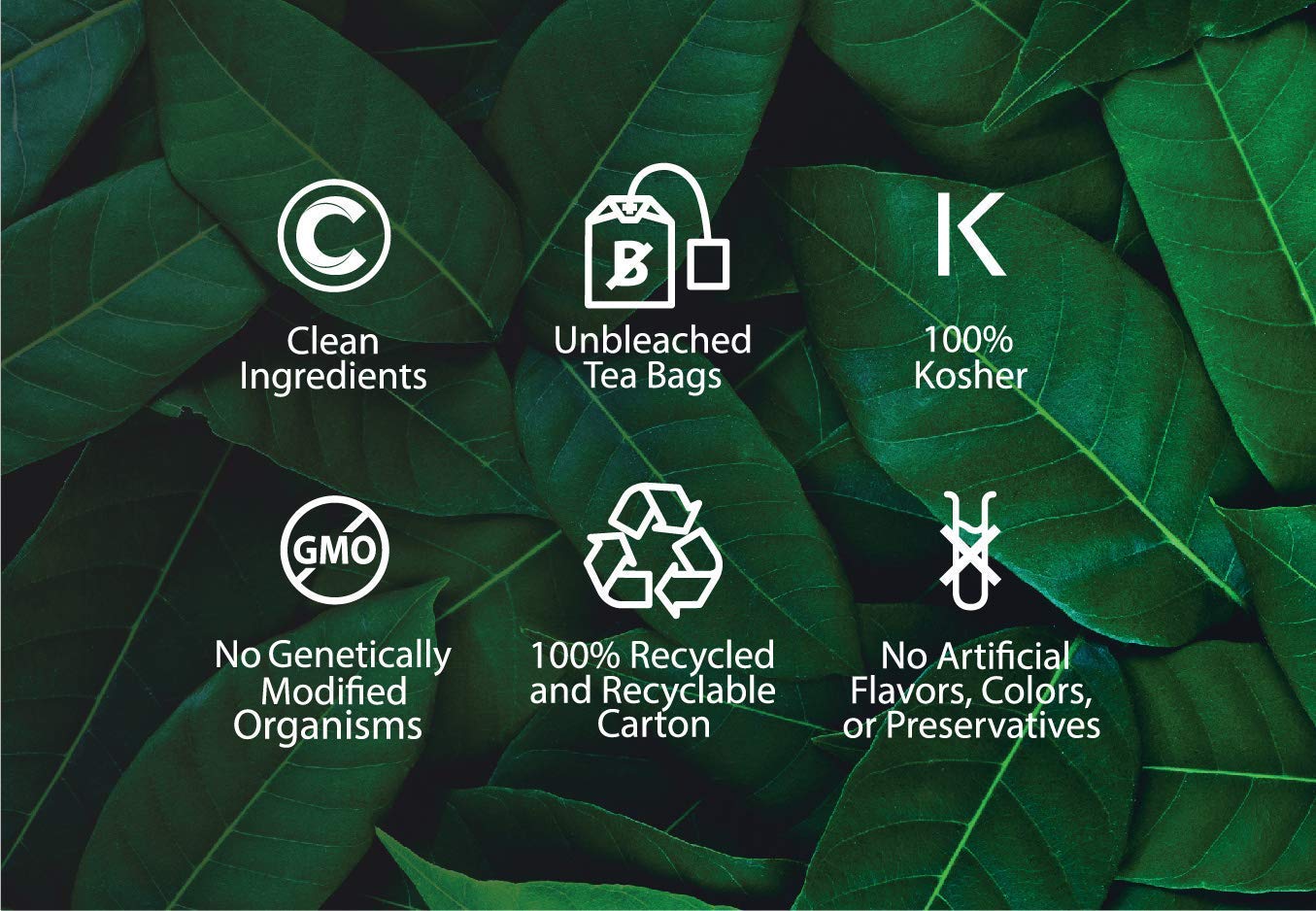 Buddha Teas - Horsetail - Organic Herbal Tea - For Cognitive Balance & Overall Health - With Antioxidants, B Vitamins & Silica - Caffeine Free - 100% Kosher & Non-GMO - 18 Tea Bags (Pack of 1)