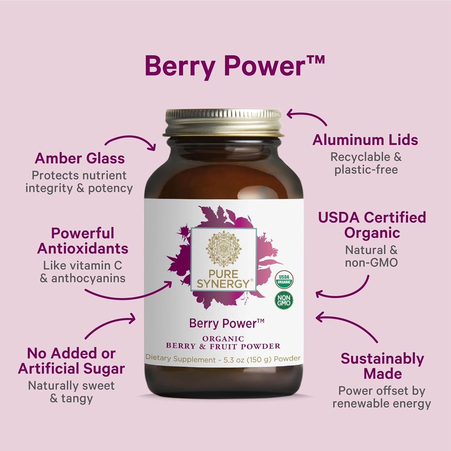 PURE SYNERGY Berry Power | Organic Berry and Fruit Powder | Antioxidant Supplement with Organic Acai, Camu Camu, and Wild Blueberry | for Healthy Aging, Immune, and Skin Support (5.3 oz Powder)