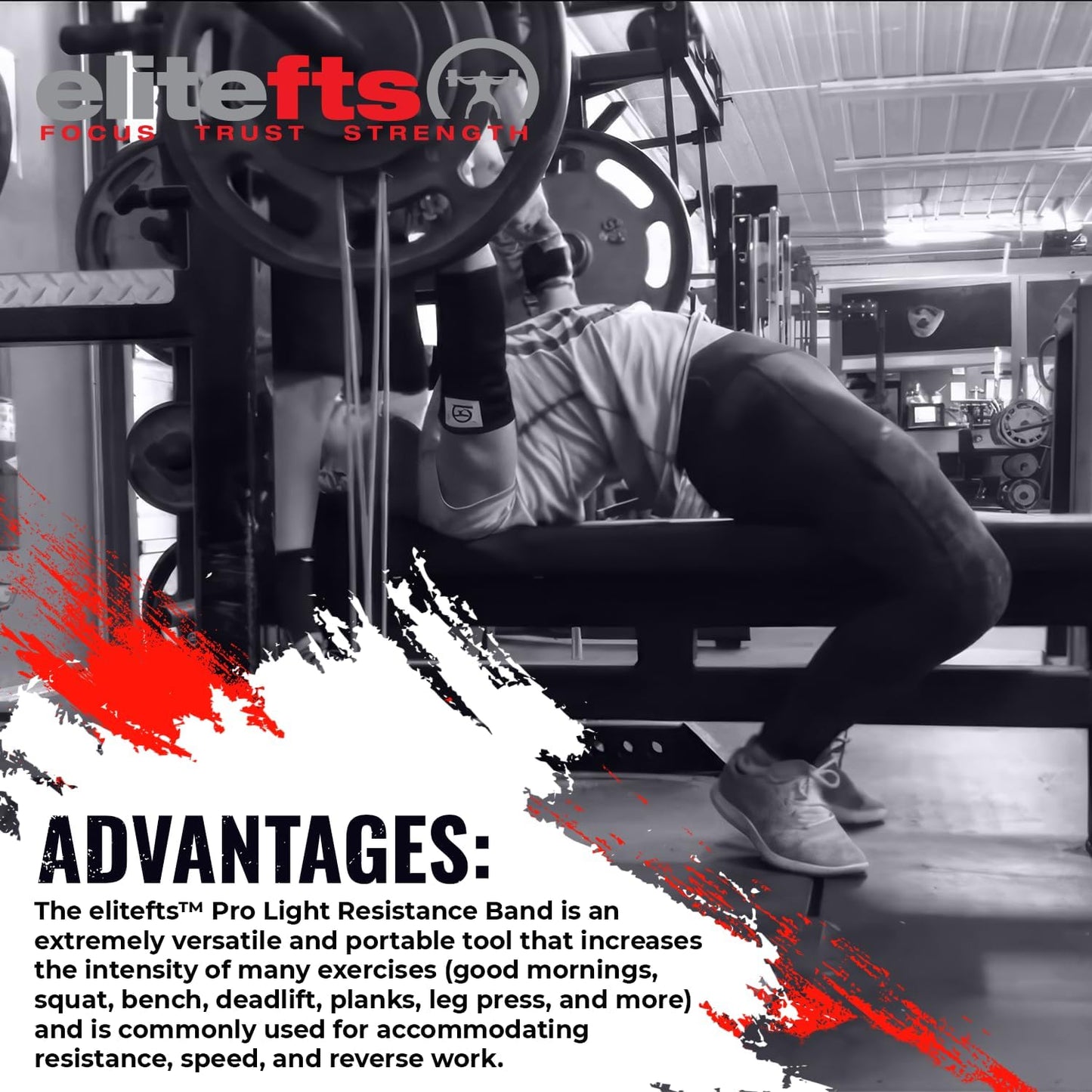 EliteFTS Pro Resistance Band - Boost Core Stability and Flexibility with This Portable, Joint-Friendly Tool