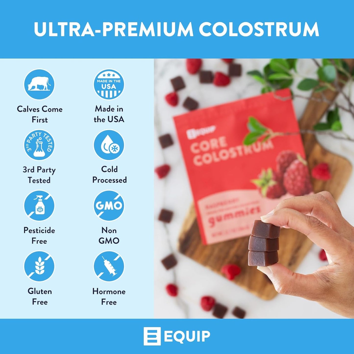 Equip Foods Core Bovine Colostrum Gummies - Delicious 1g Per Seving Grass Fed Colostrum Supplement - Gut Health, Immunity, Recovery, Hair & Skin - 60 Bovine Colostrum Gummies, 30 Servings, Raspberry