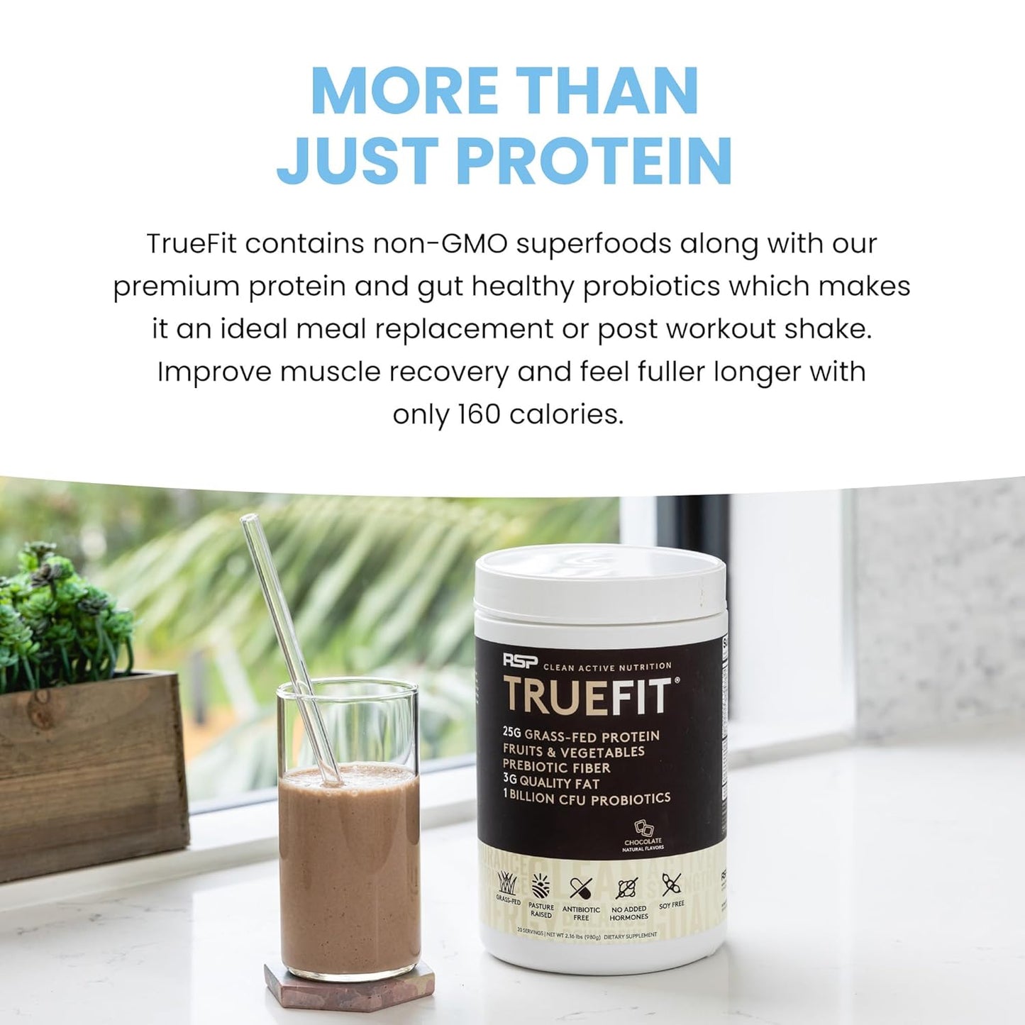 TrueFit Gut Healthy Protein Powder, Grass-Fed Whey Meal Replacement Shake with Prebiotics, Probiotics, & Organic Superfoods, Keto Friendly, Gluten Free