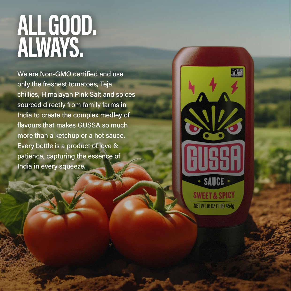 GUSSA Sauce 16 oz - Sriracha Style Sweet & Spicy Sauce - Perfect for Burgers, Wraps, Chicken Wings, Tacos, Salads, Noodles & More. Vegan, Non-GMO, No Preservatives, Gluten-Free, BPA-Free.